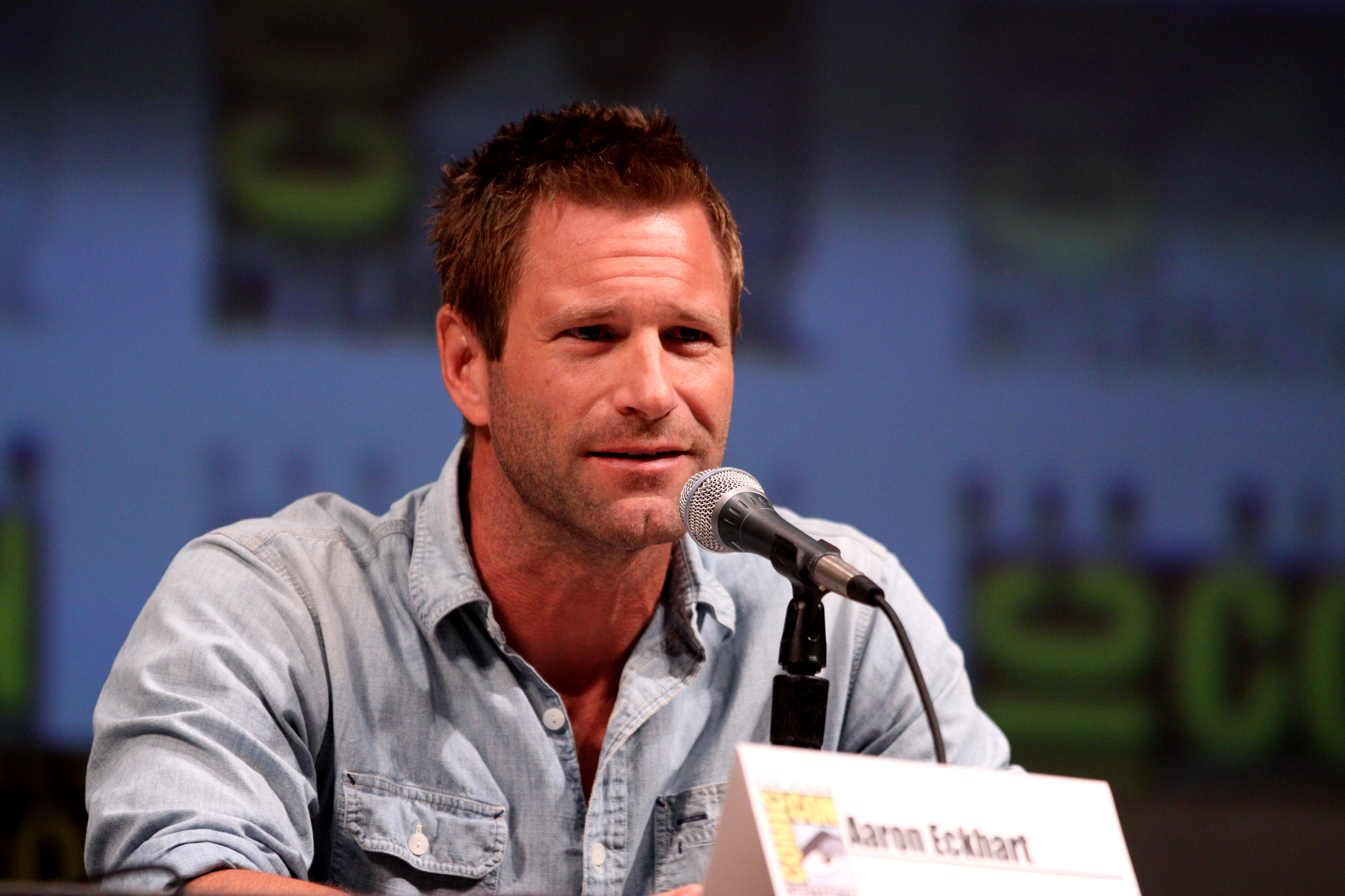 aaron-eckhart-summertime