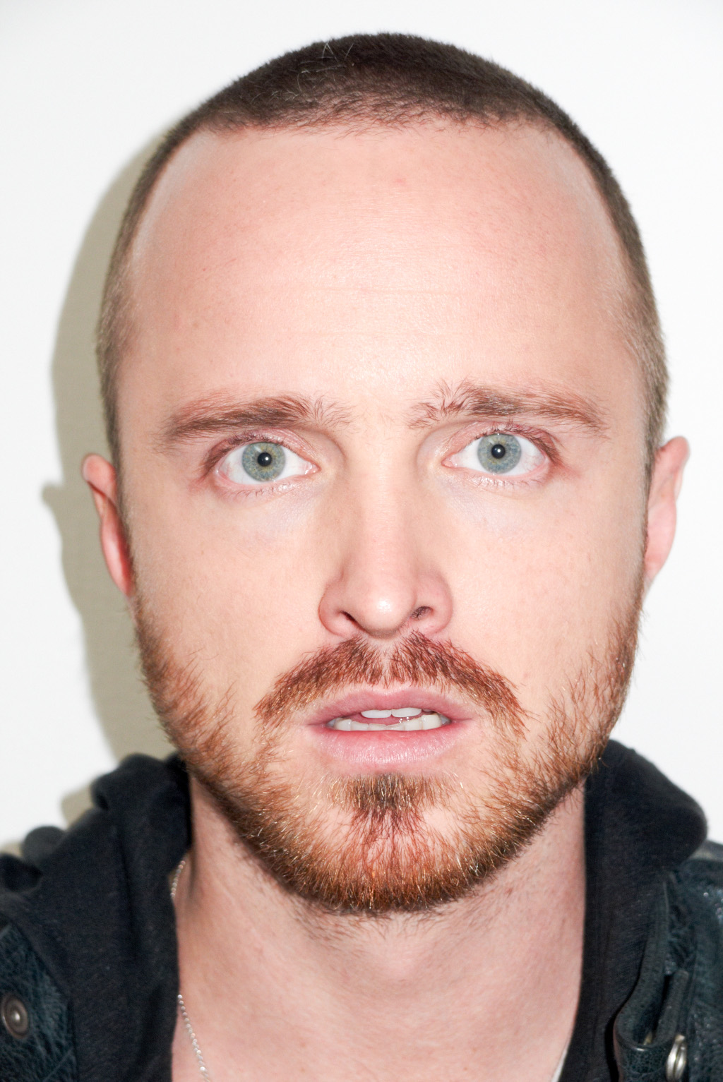 aaron-paul-movies