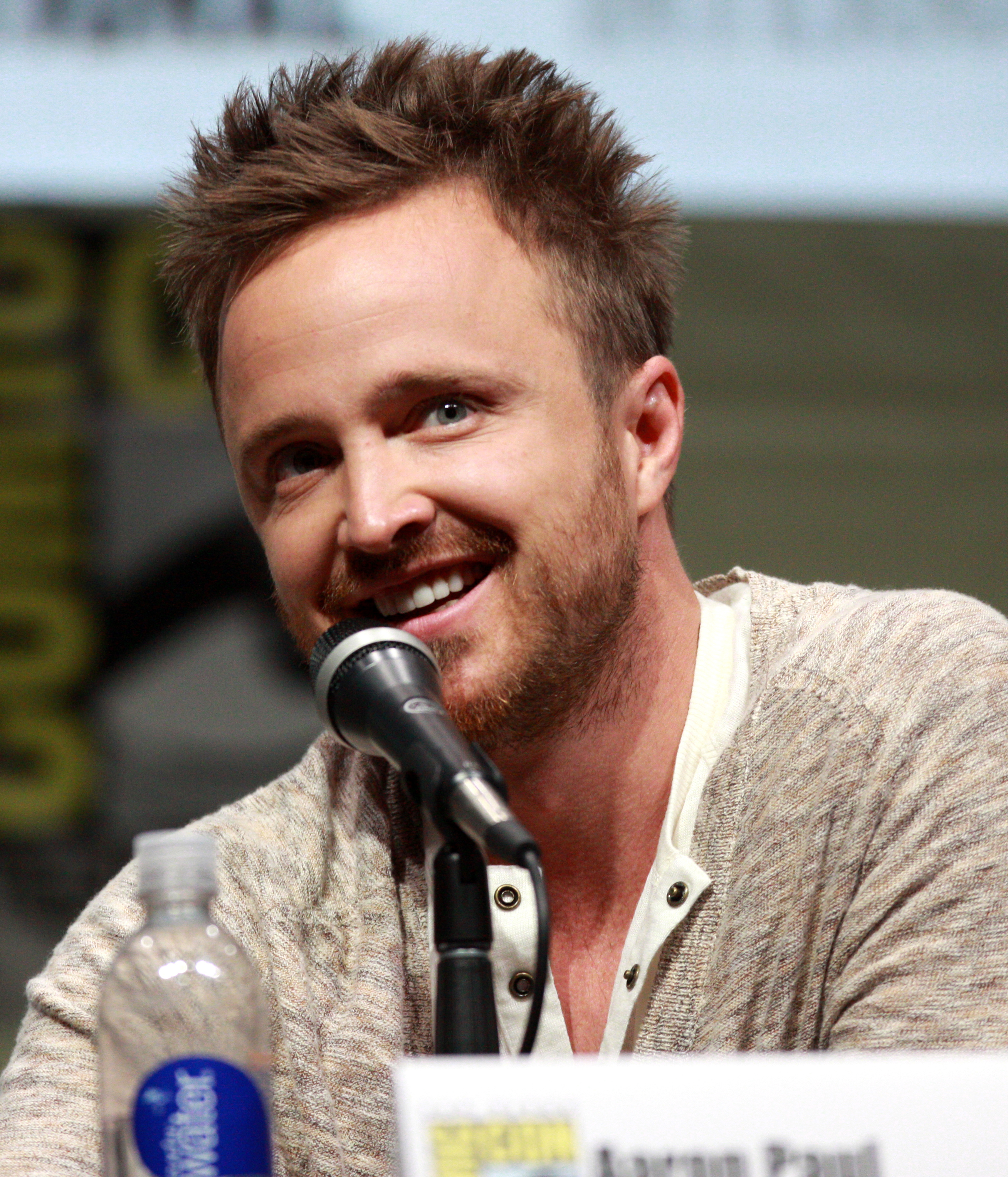 images-of-aaron-paul