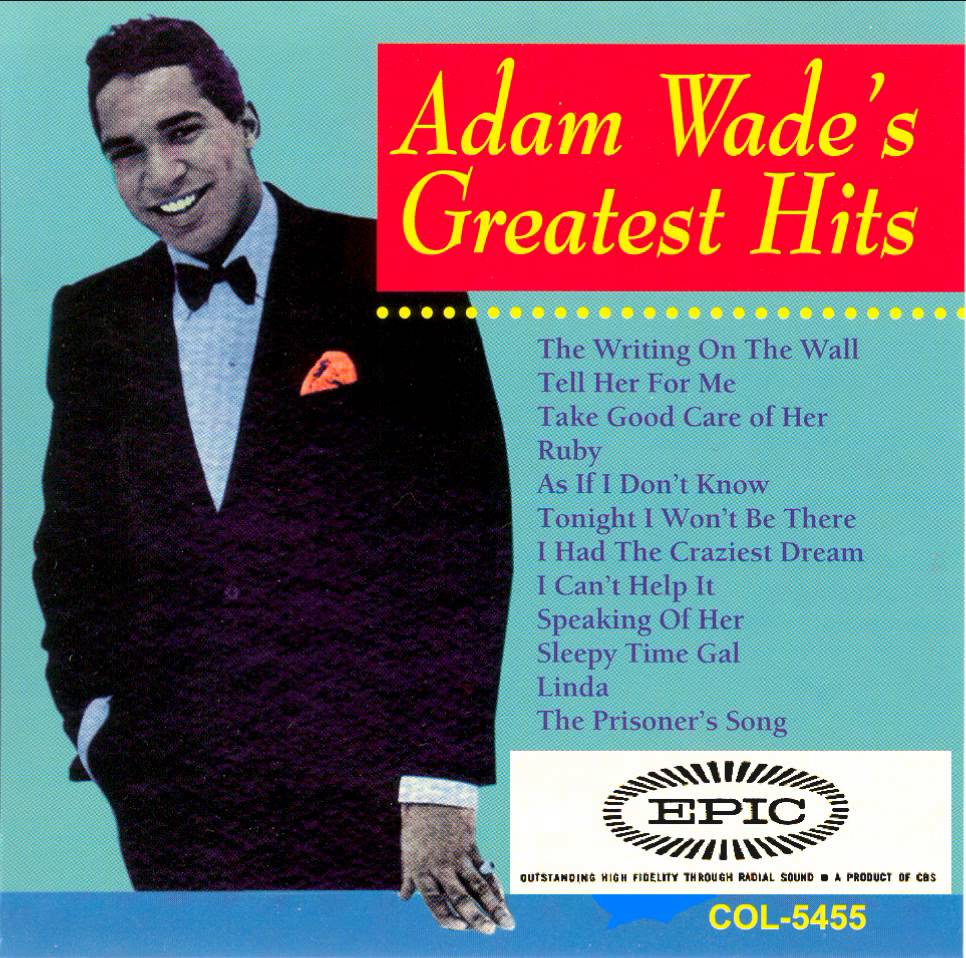 best-pictures-of-adam-wade-singer