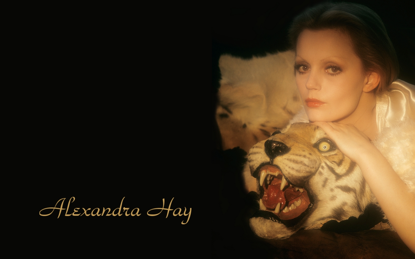 alexandra-hay-news