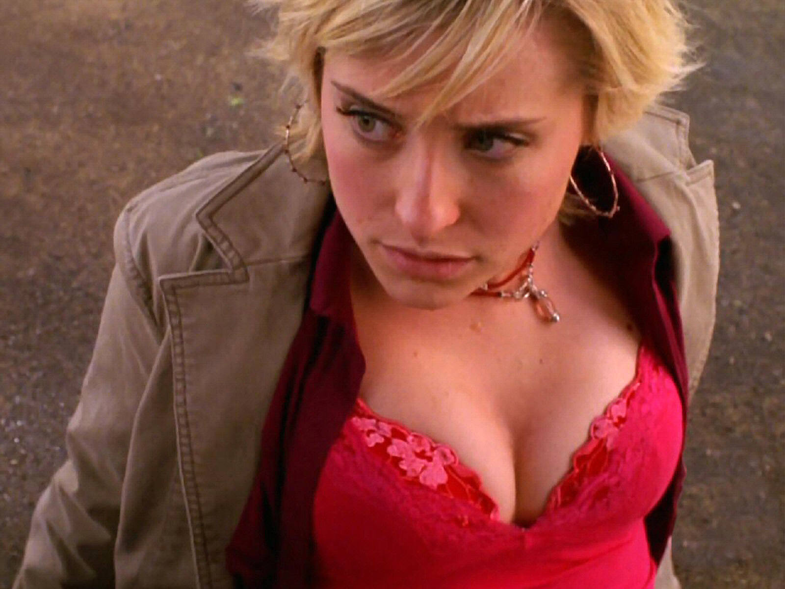 Pictures Of Allison Mack Pictures Of Celebrities