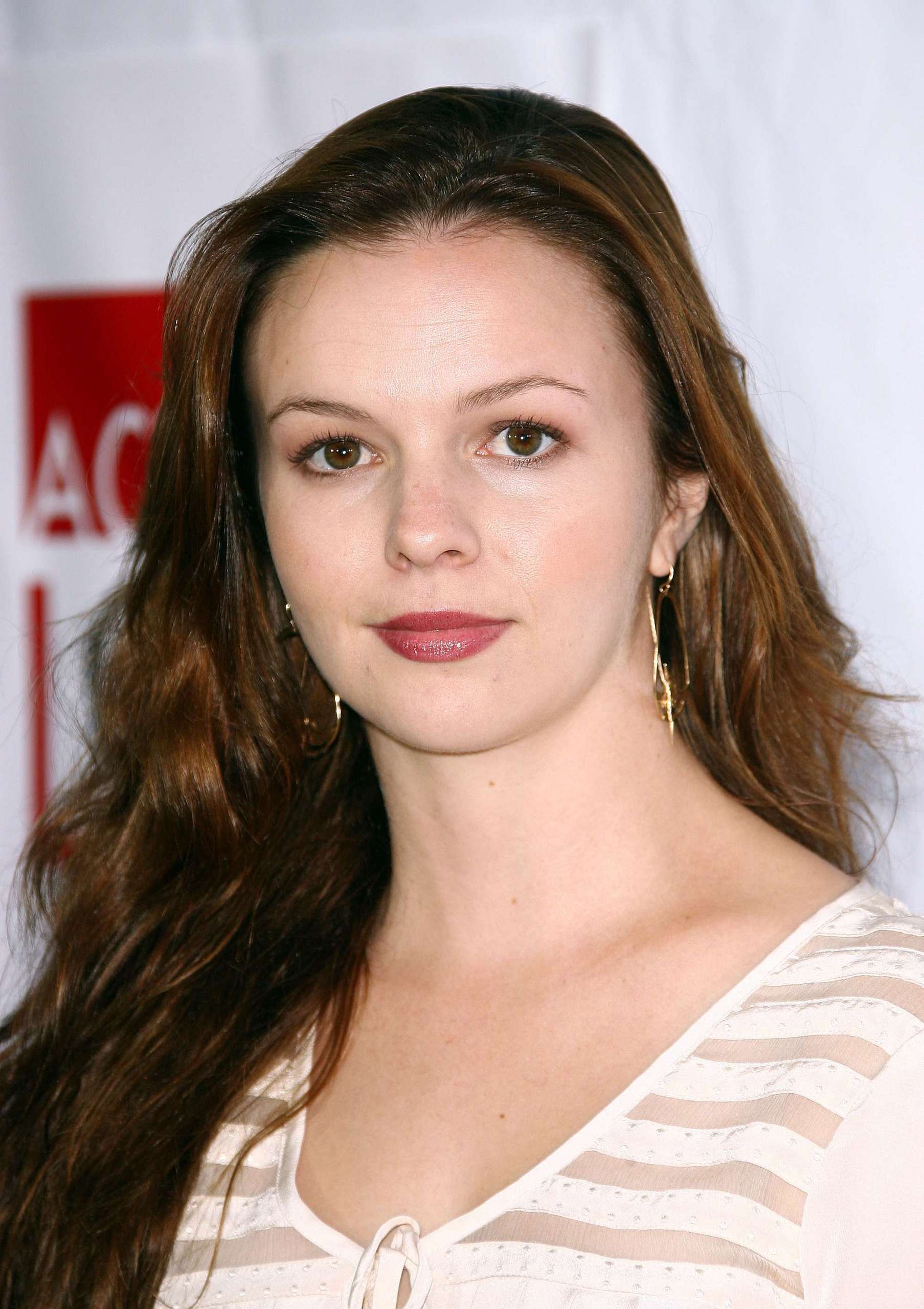 amber-tamblyn-net-worth