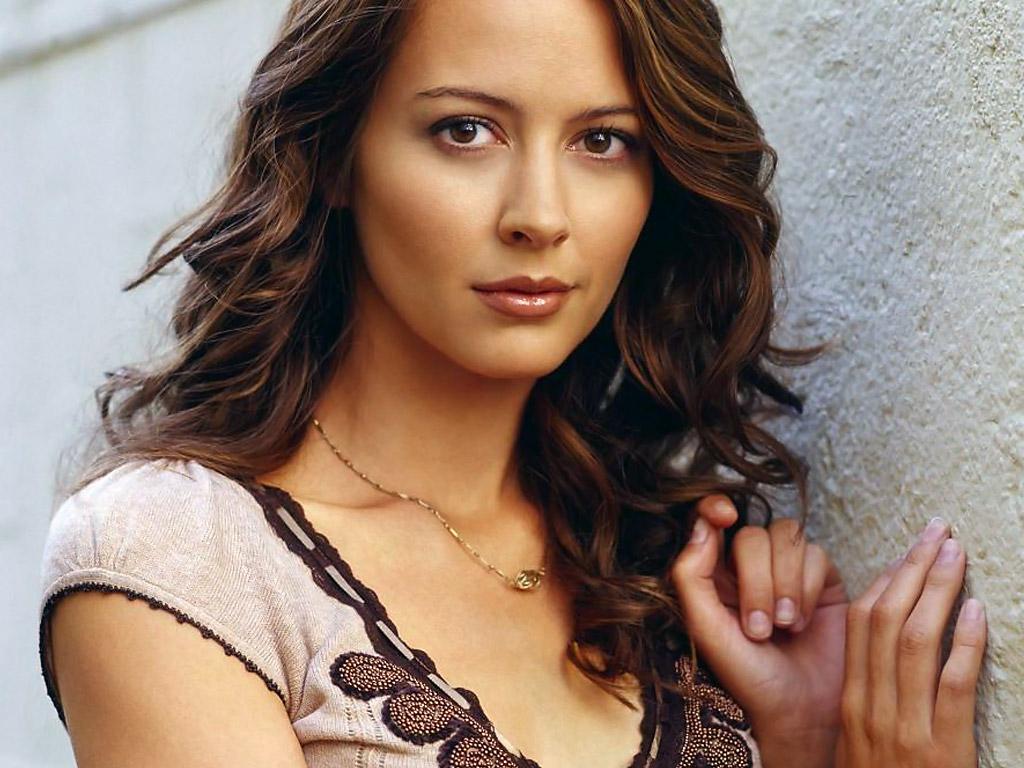 best-pictures-of-amy-acker