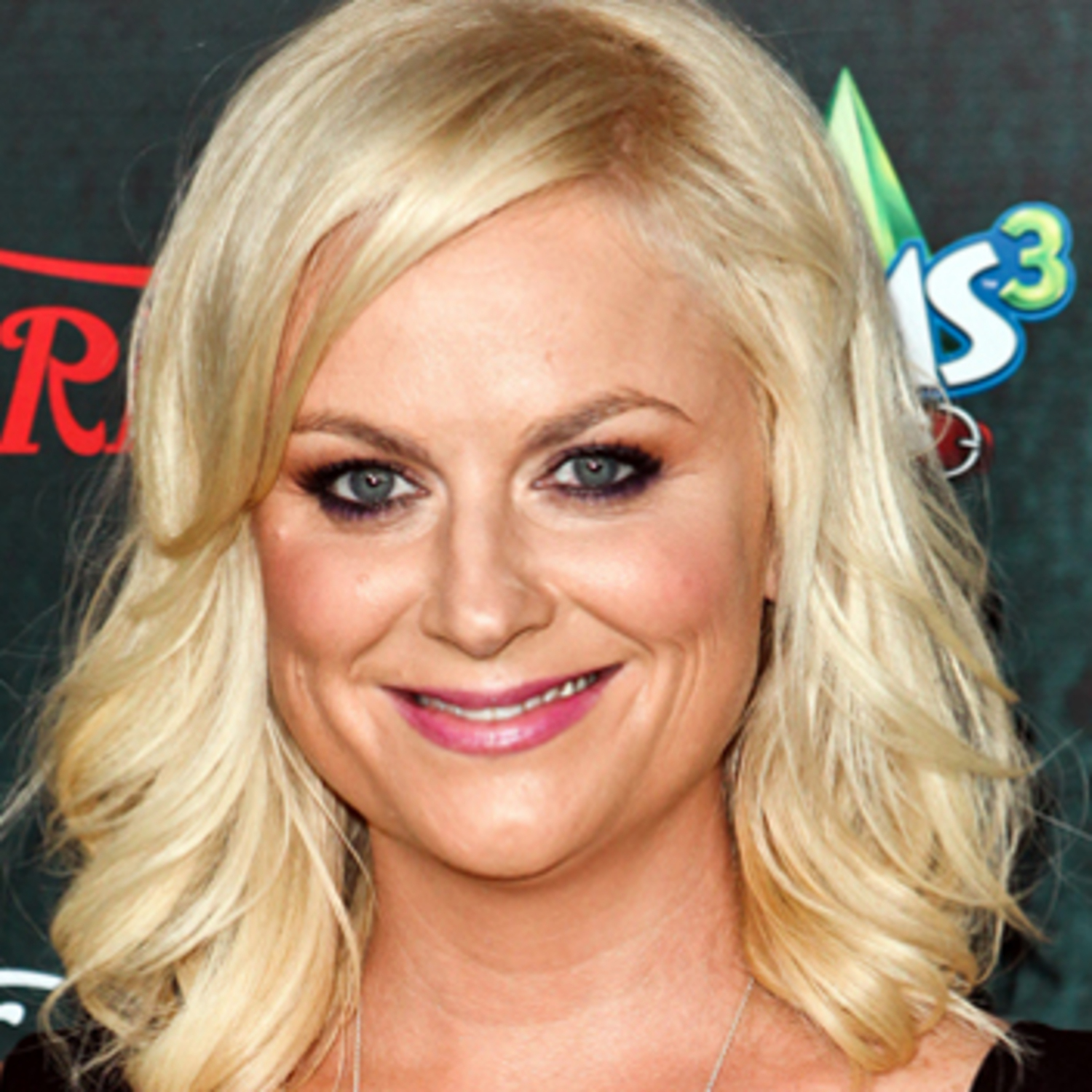 amy-poehler-family