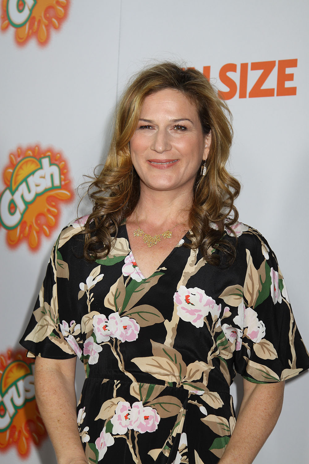 ana-gasteyer-images