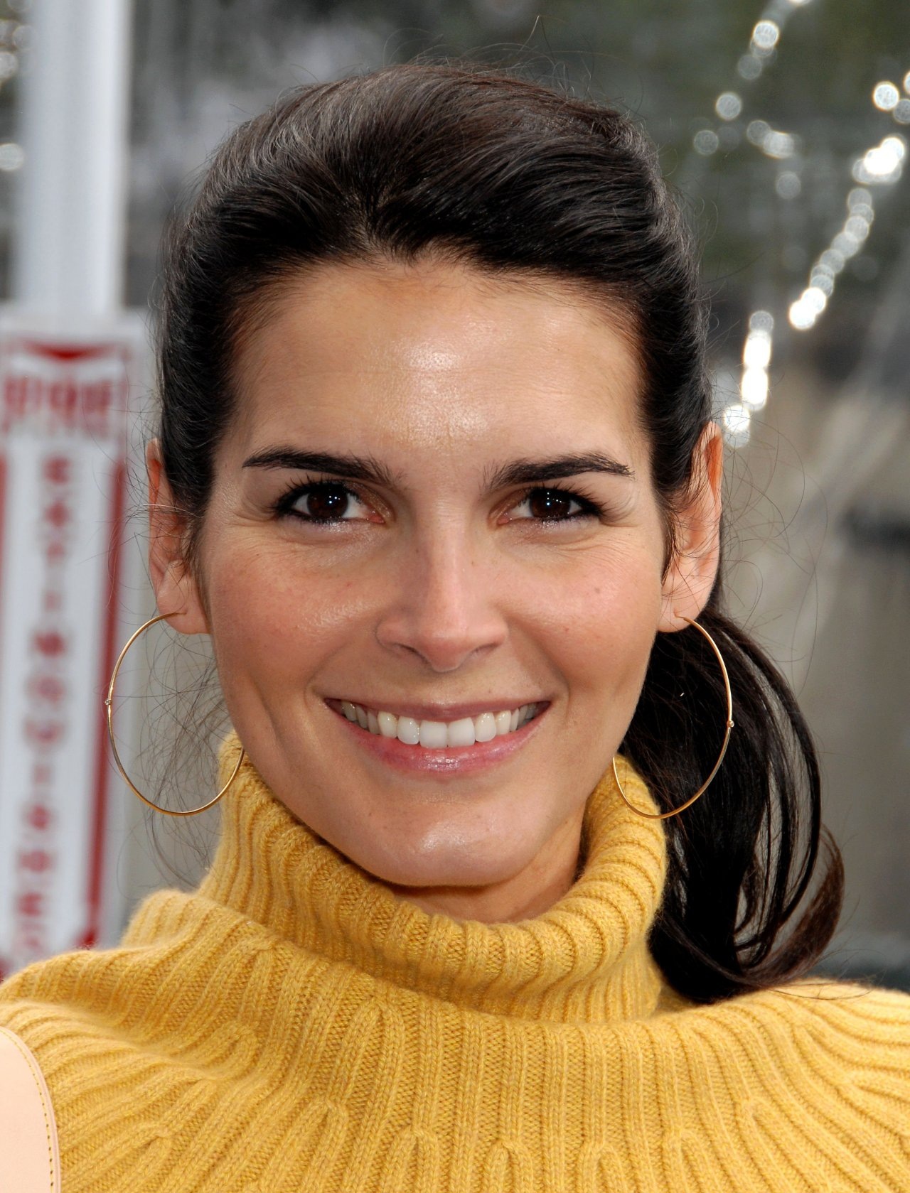 angie-harmon-net-worth