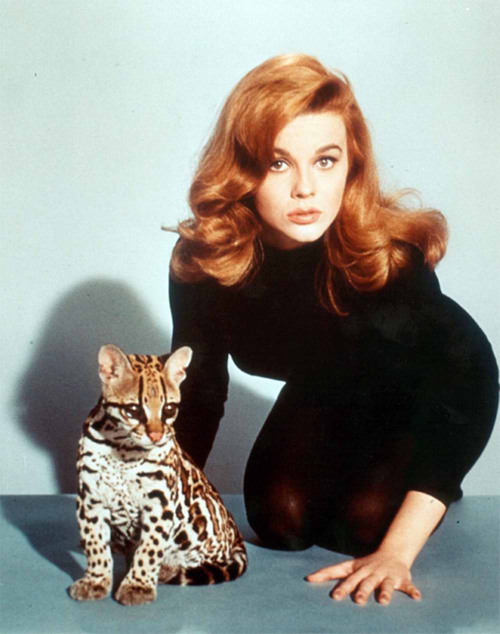 ann-margret-pictures