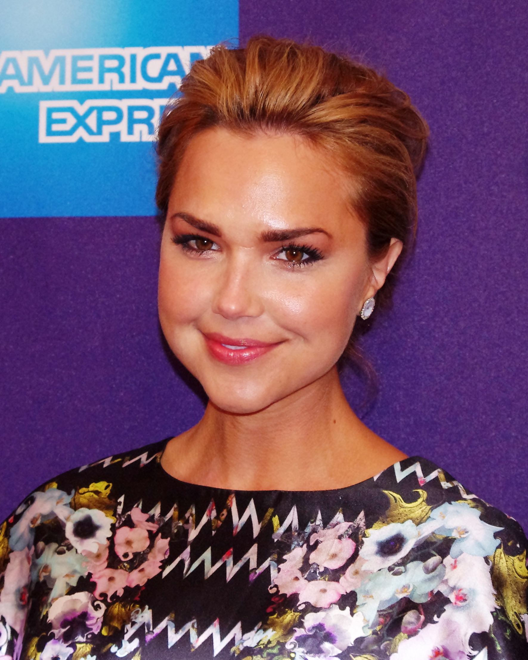 best-pictures-of-arielle-kebbel