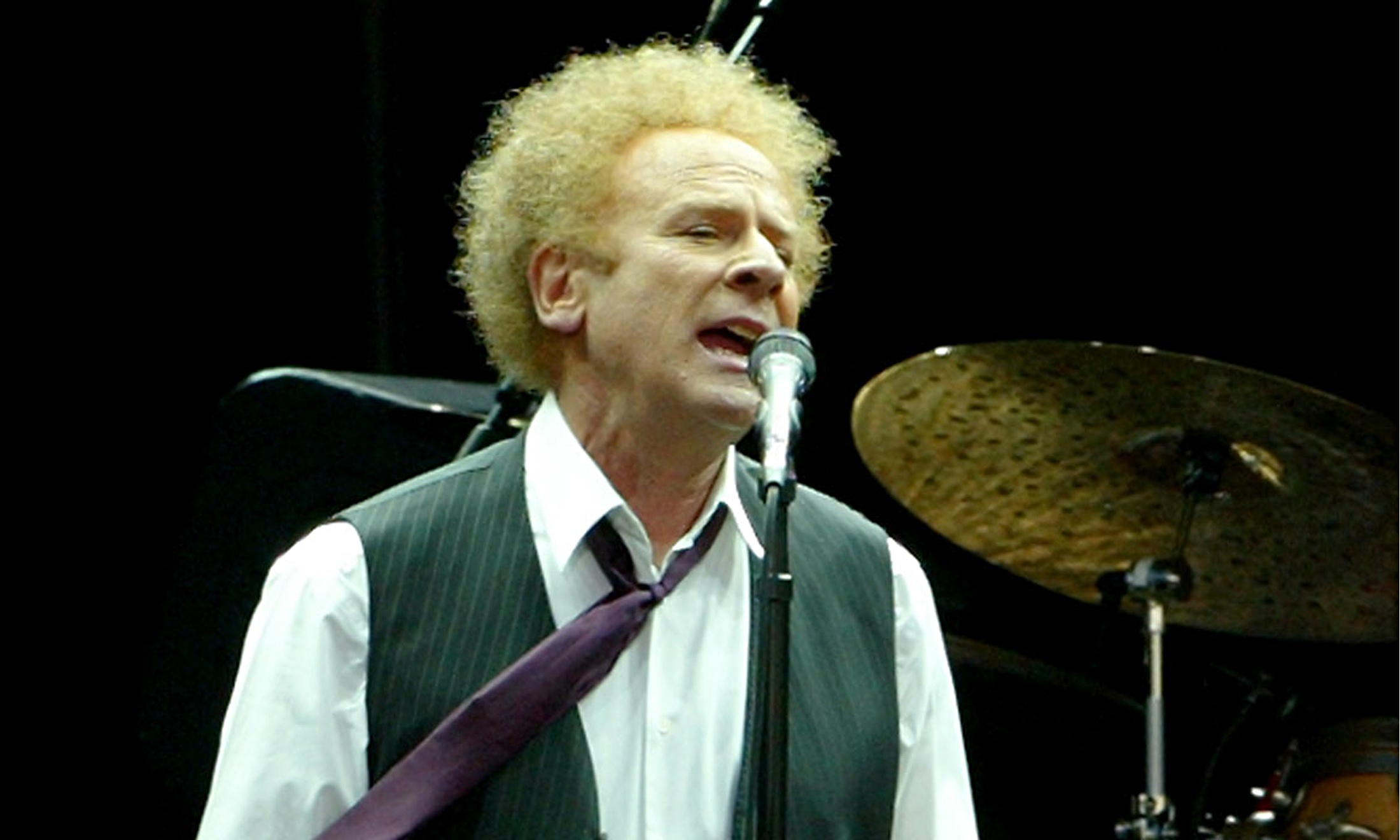 best-pictures-of-art-garfunkel