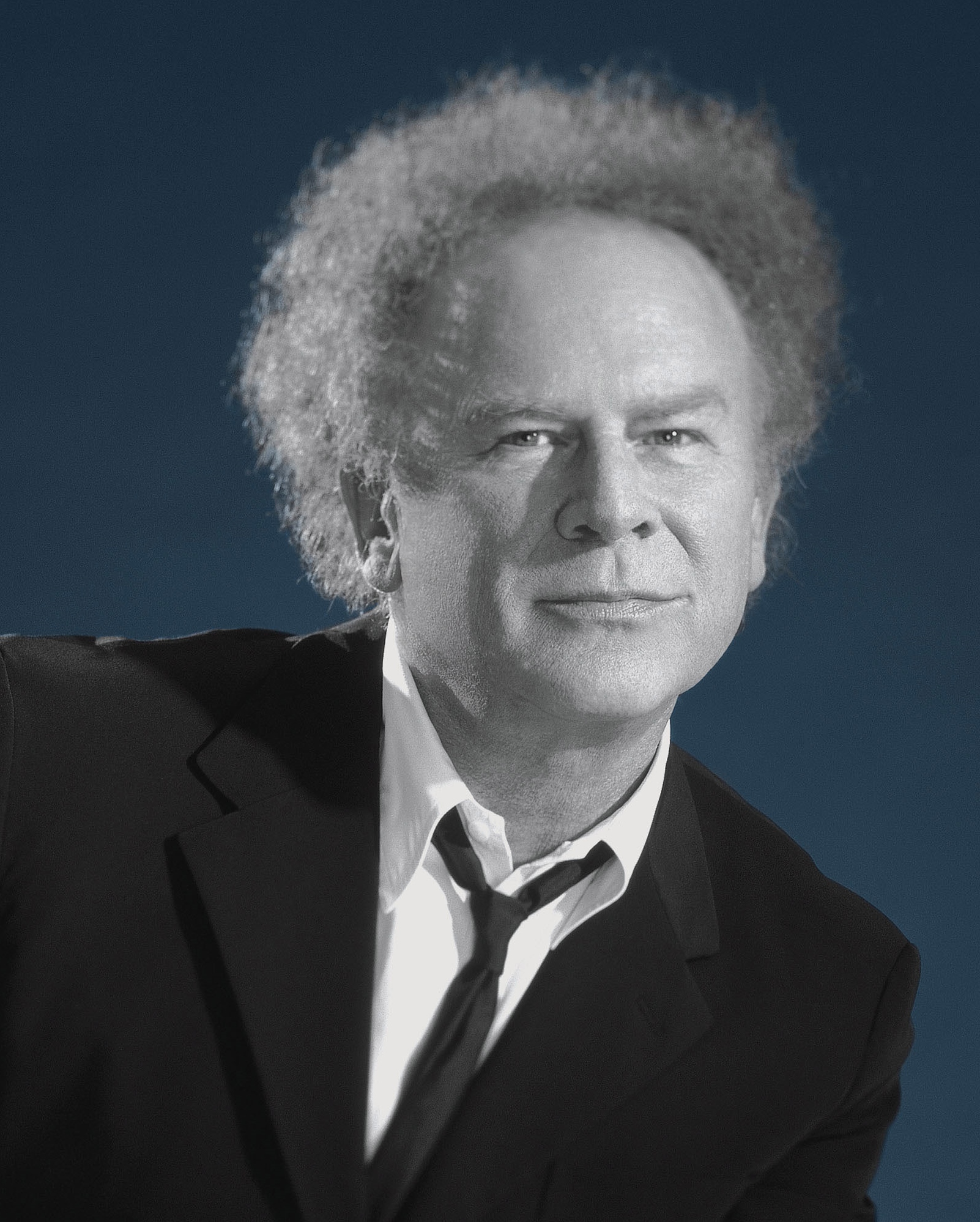 images-of-art-garfunkel