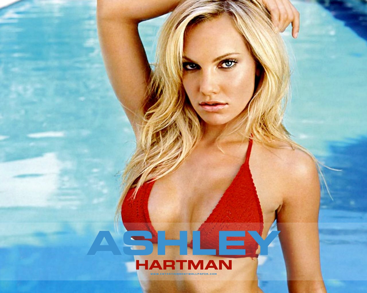 ashley-hartman-images