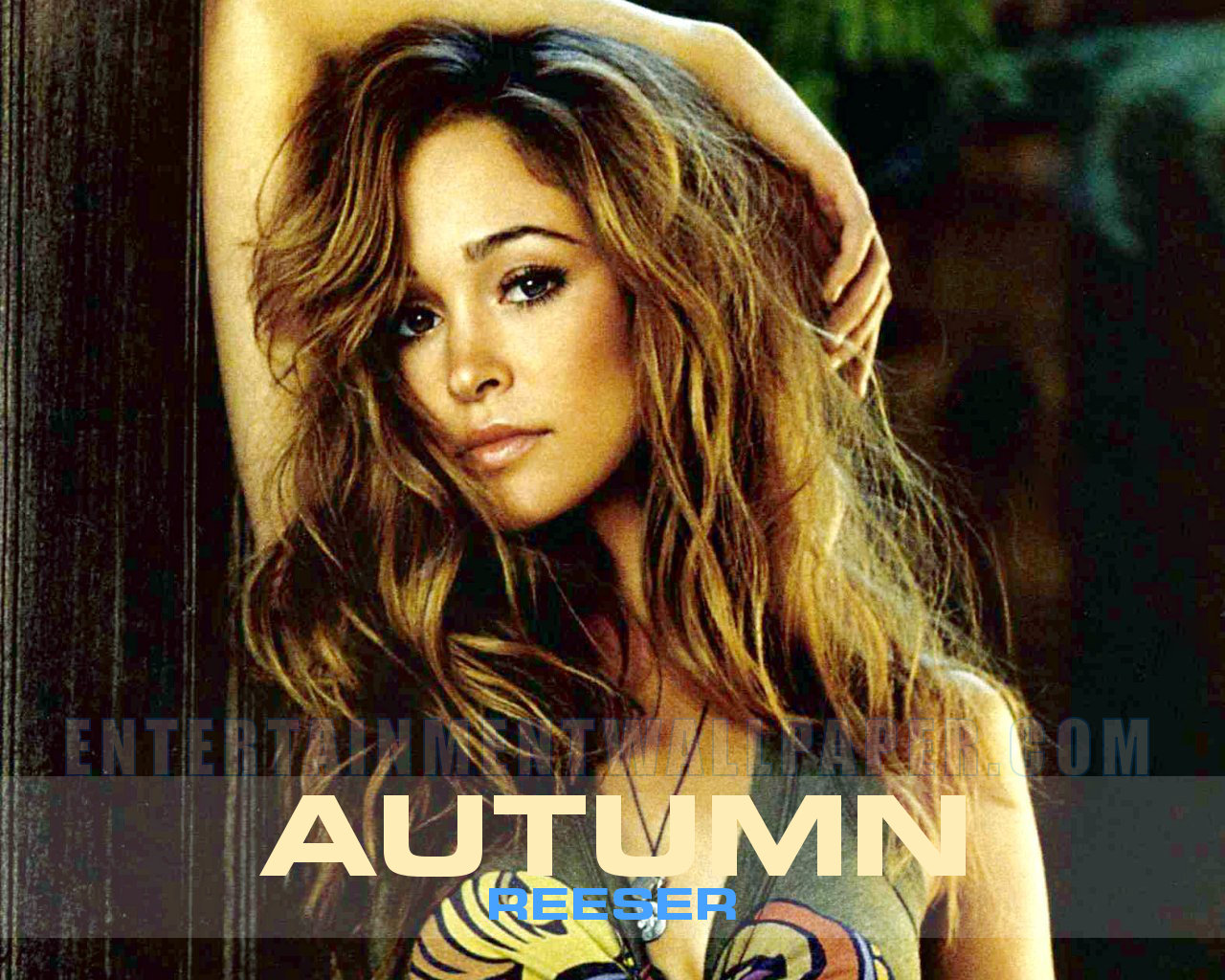 autumn-reeser-house