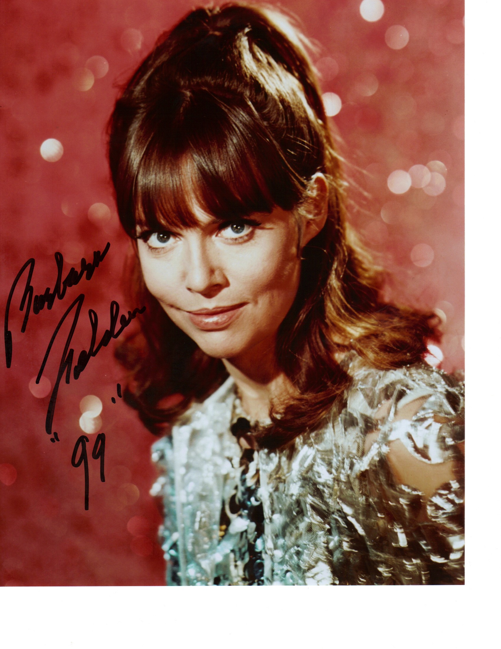 Pictures of Barbara Feldon - Pictures Of Celebrities