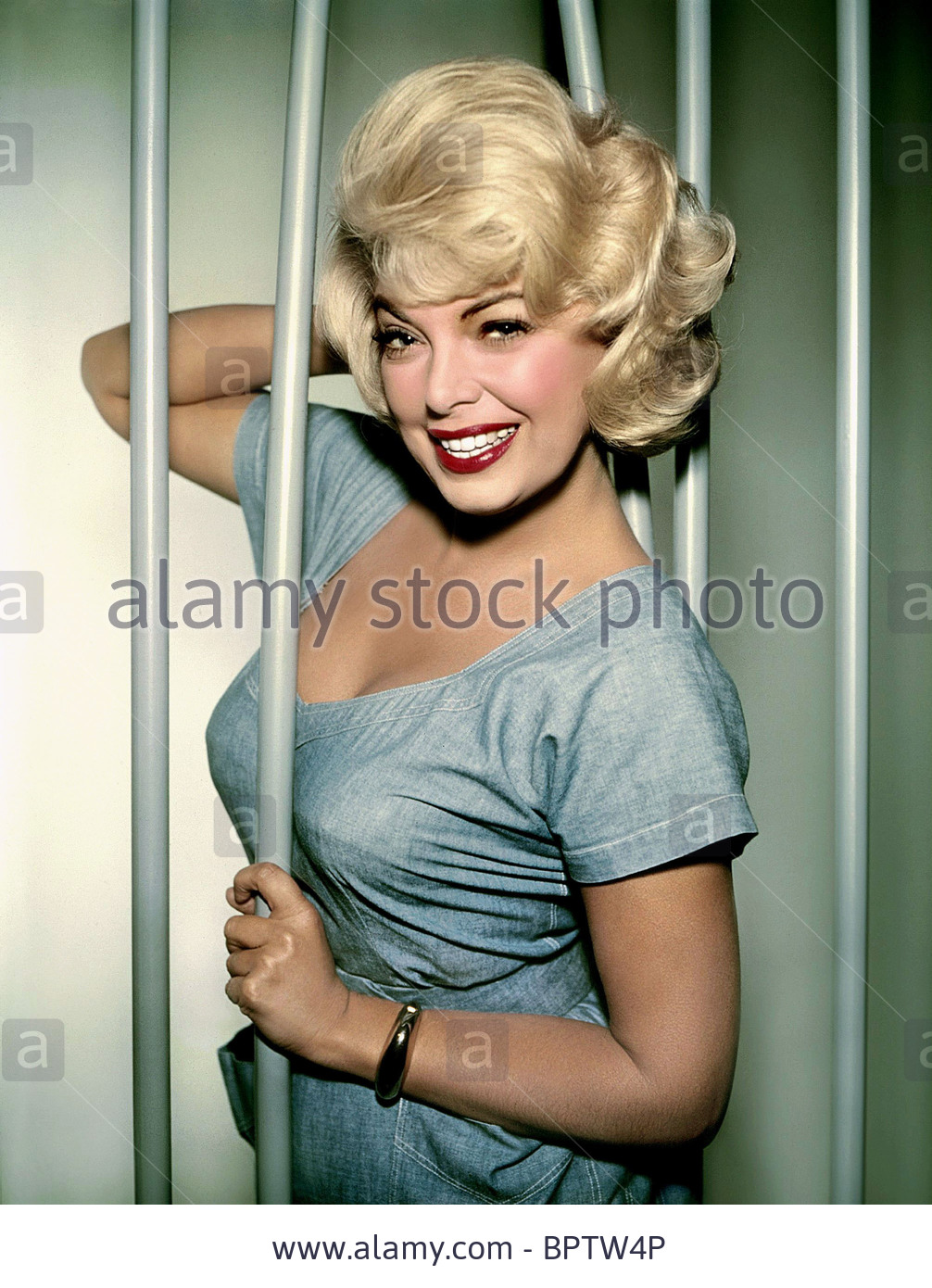 barbara-nichols-house