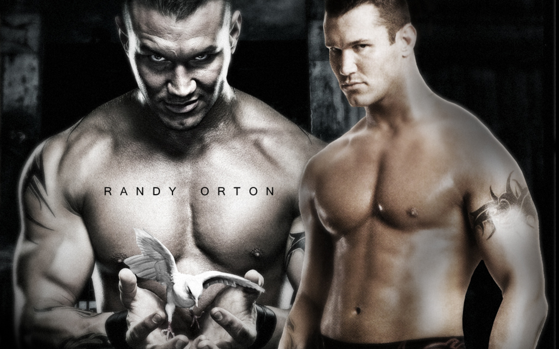 pictures-of-barry-orton