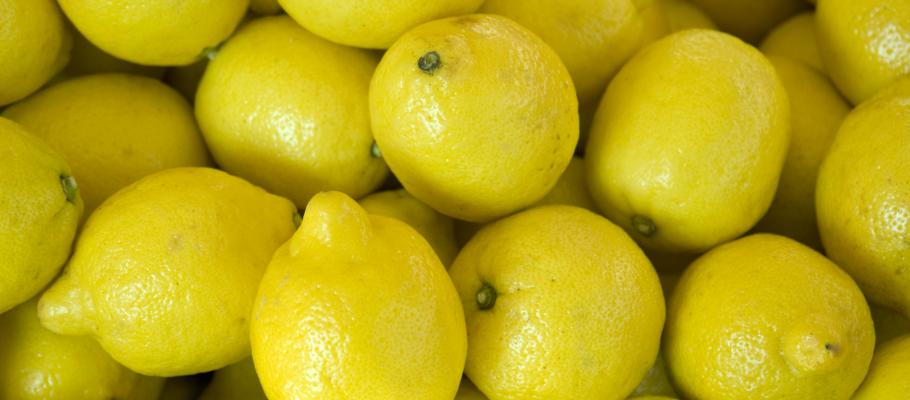 best-pictures-of-ben-lemon