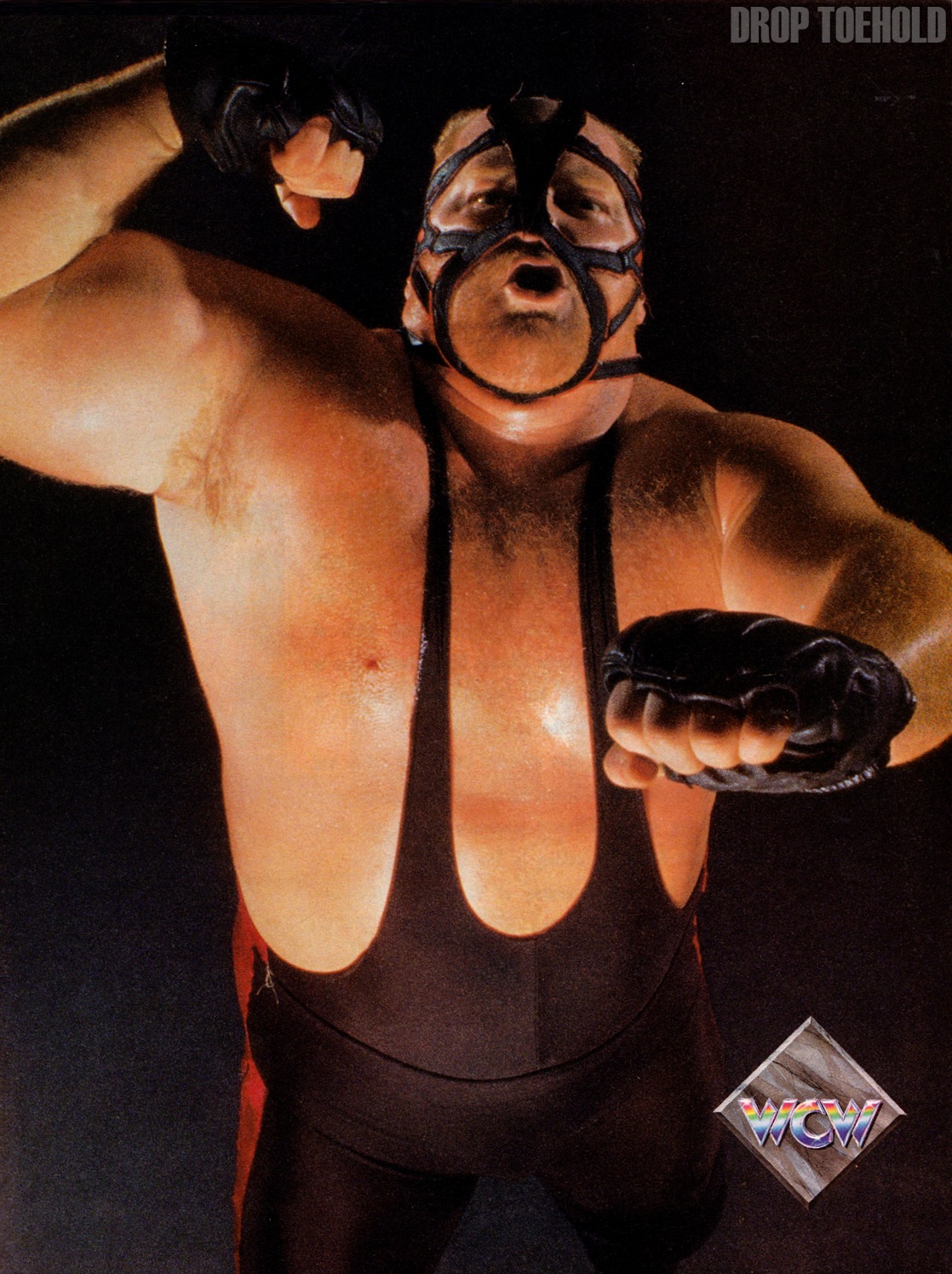 images-of-big-van-vader