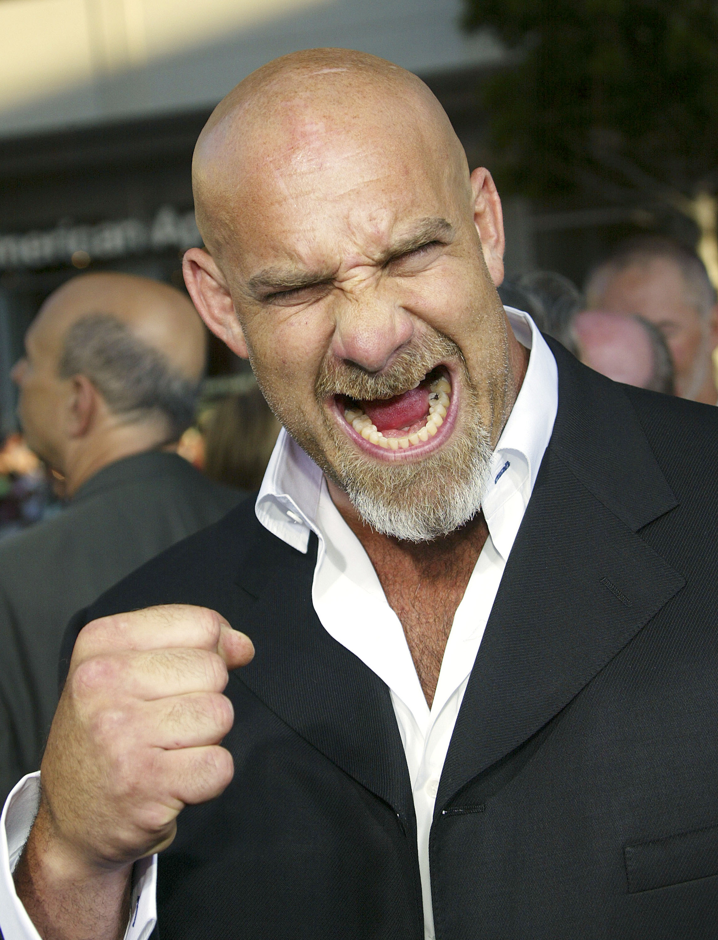 bill-goldberg-2015