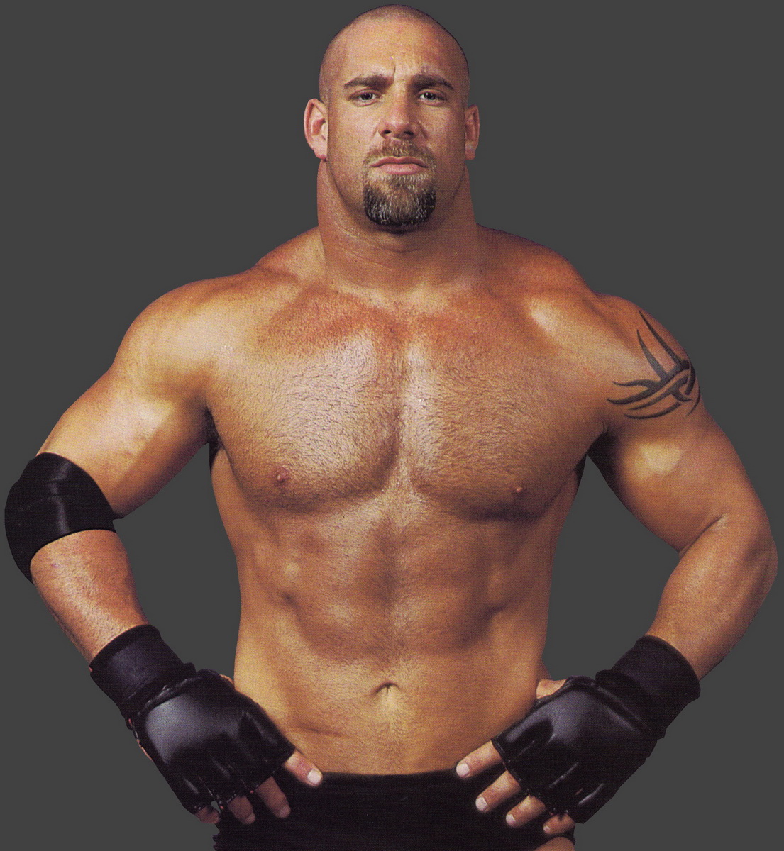 bill-goldberg-news