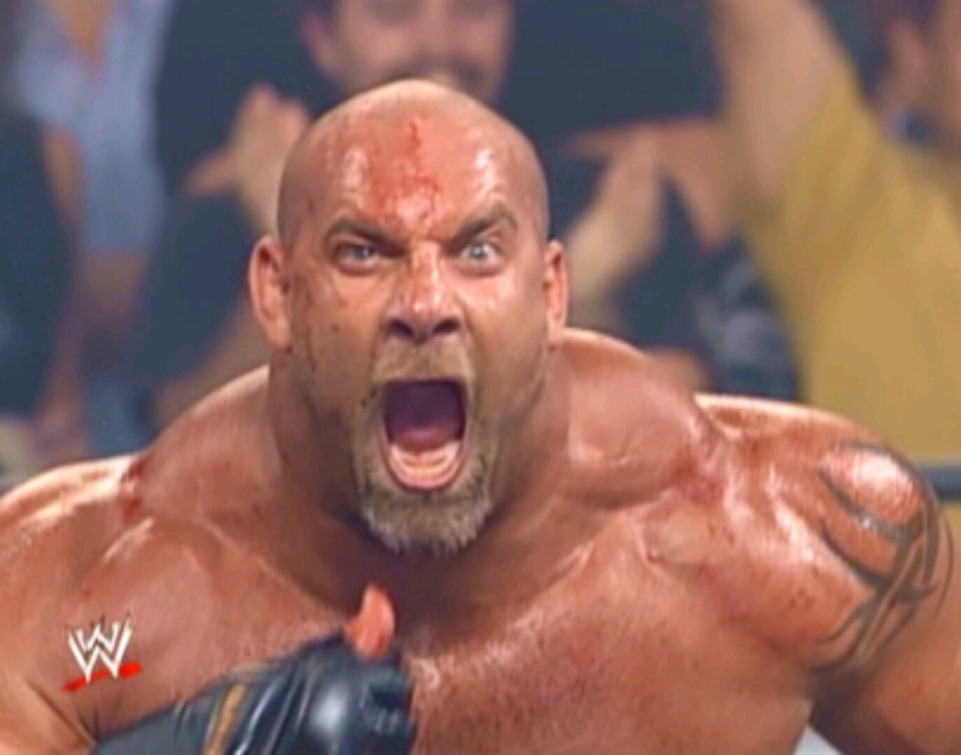 images-of-bill-goldberg