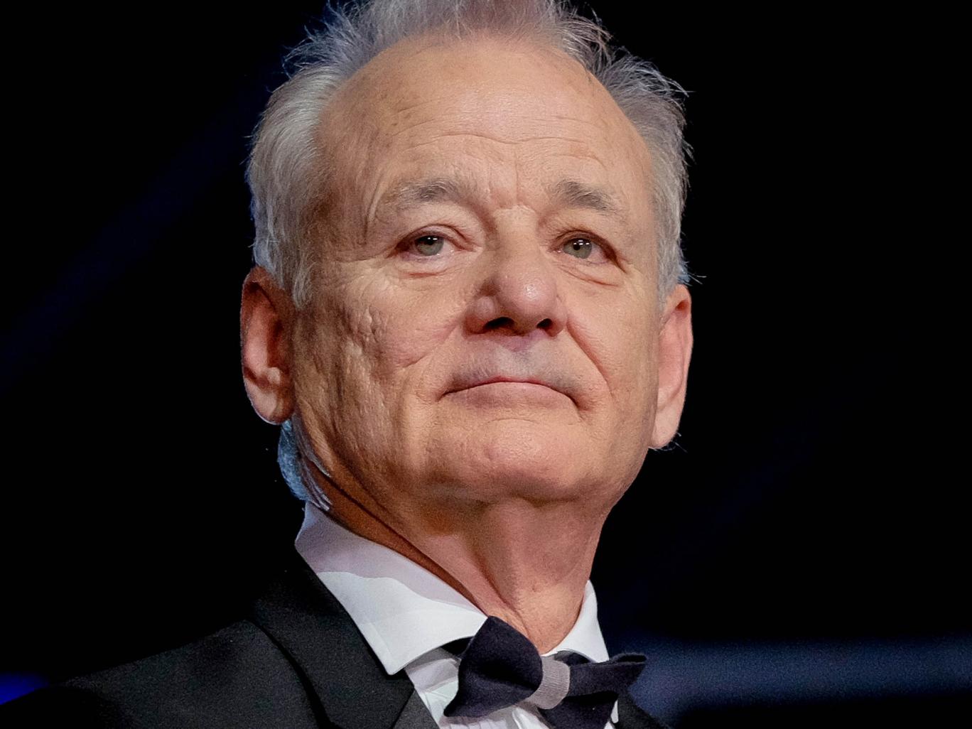 Pictures Of Bill Murray Pictures Of Celebrities