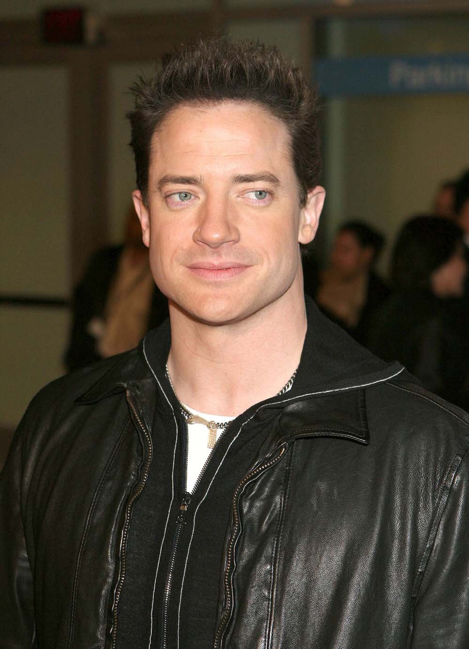 best-pictures-of-brendan-fraser