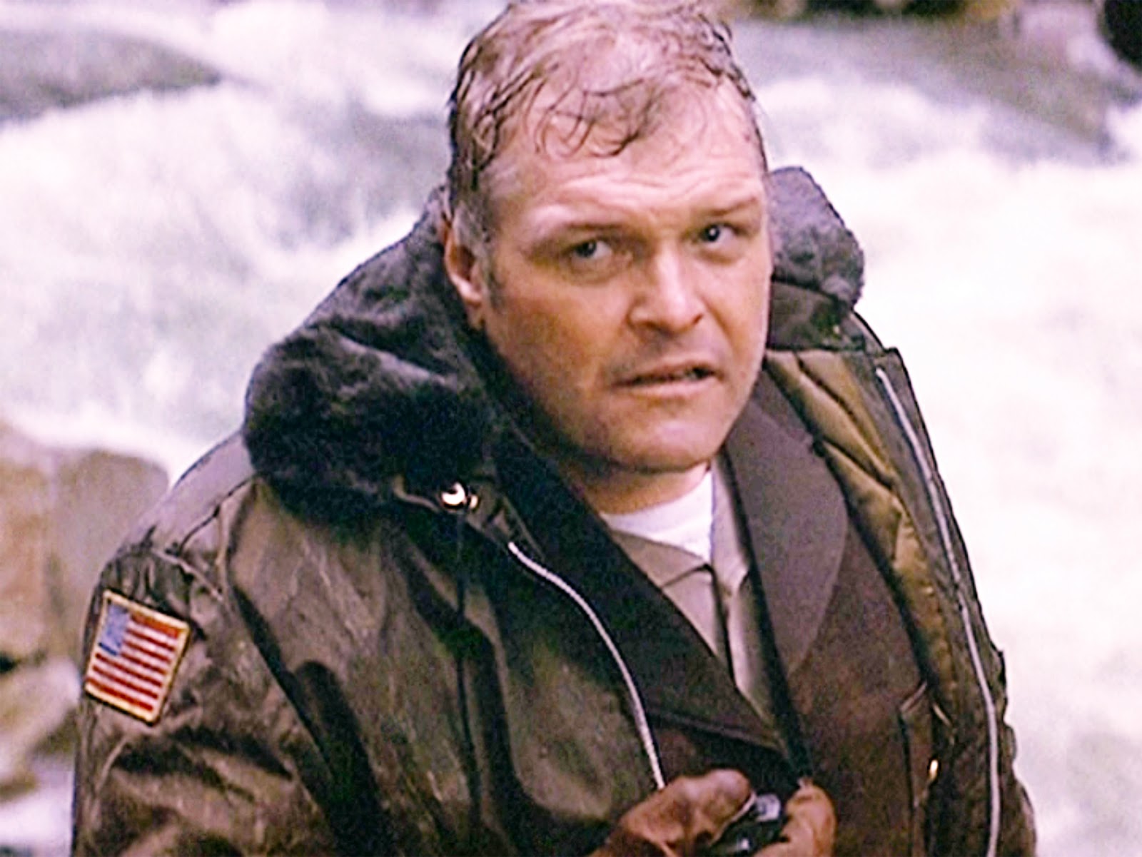 brian-dennehy-movies