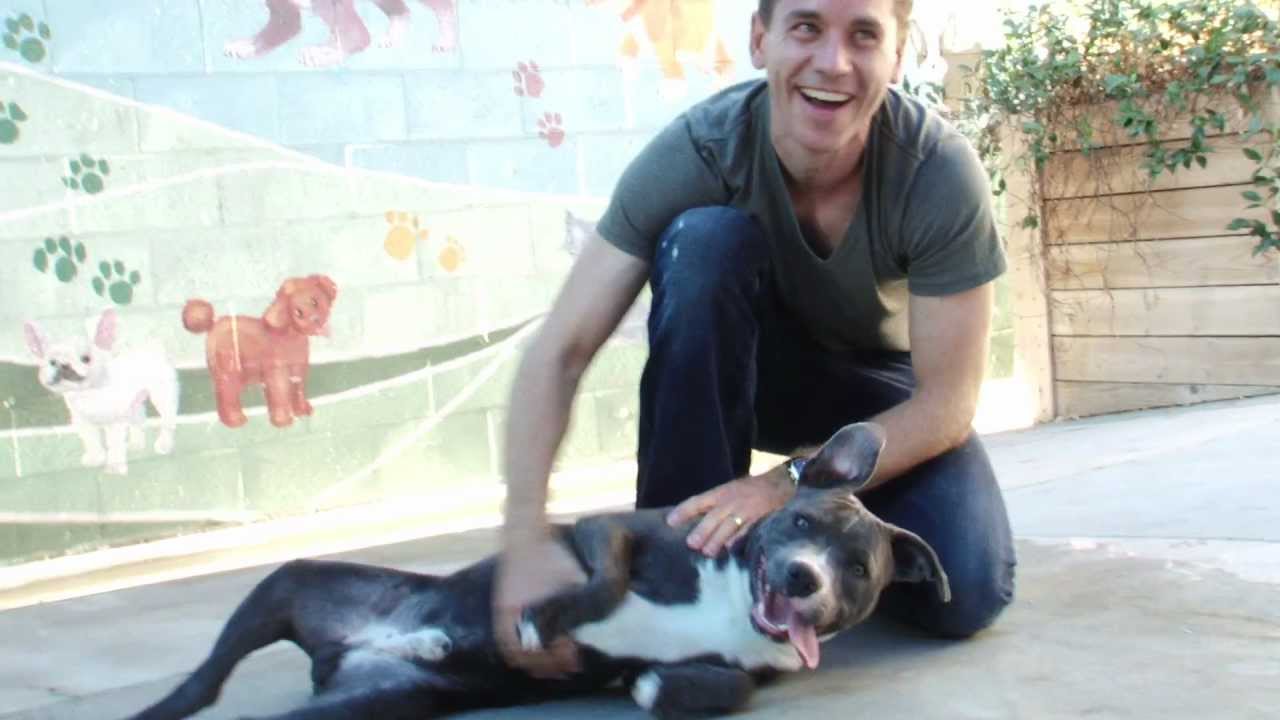 brian-dietzen-2015