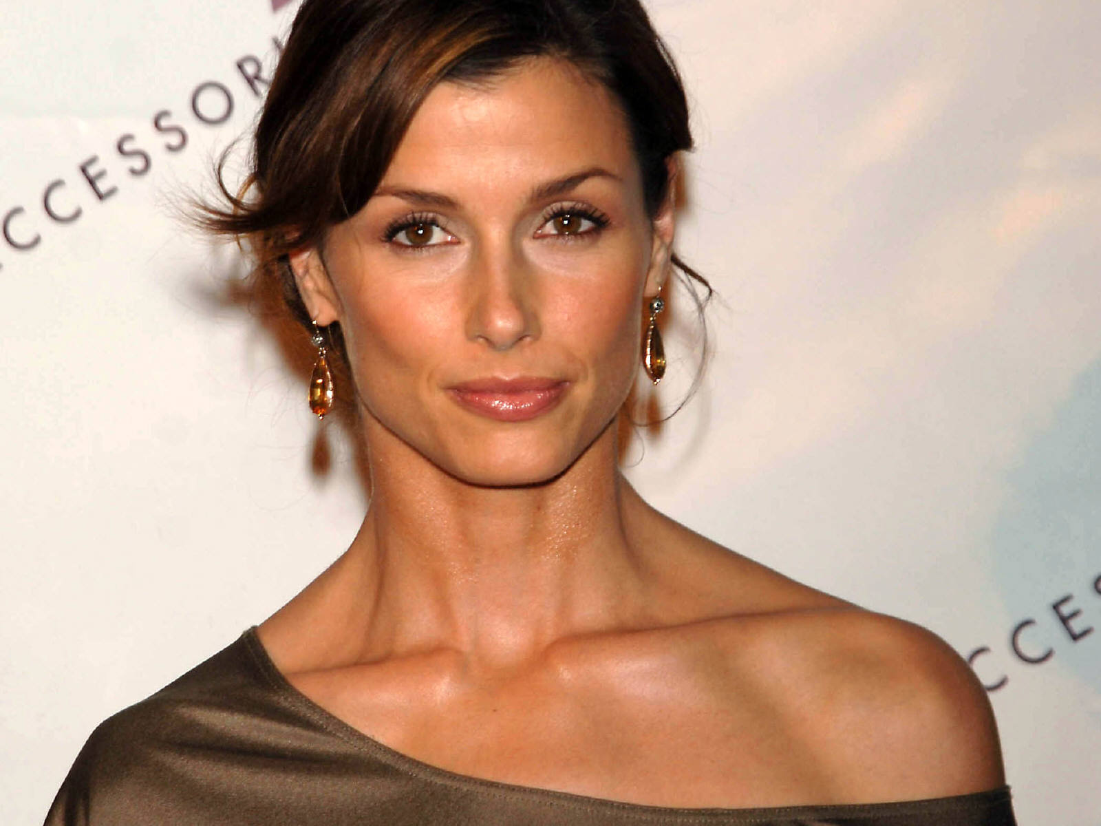 bridget-moynahan-movies