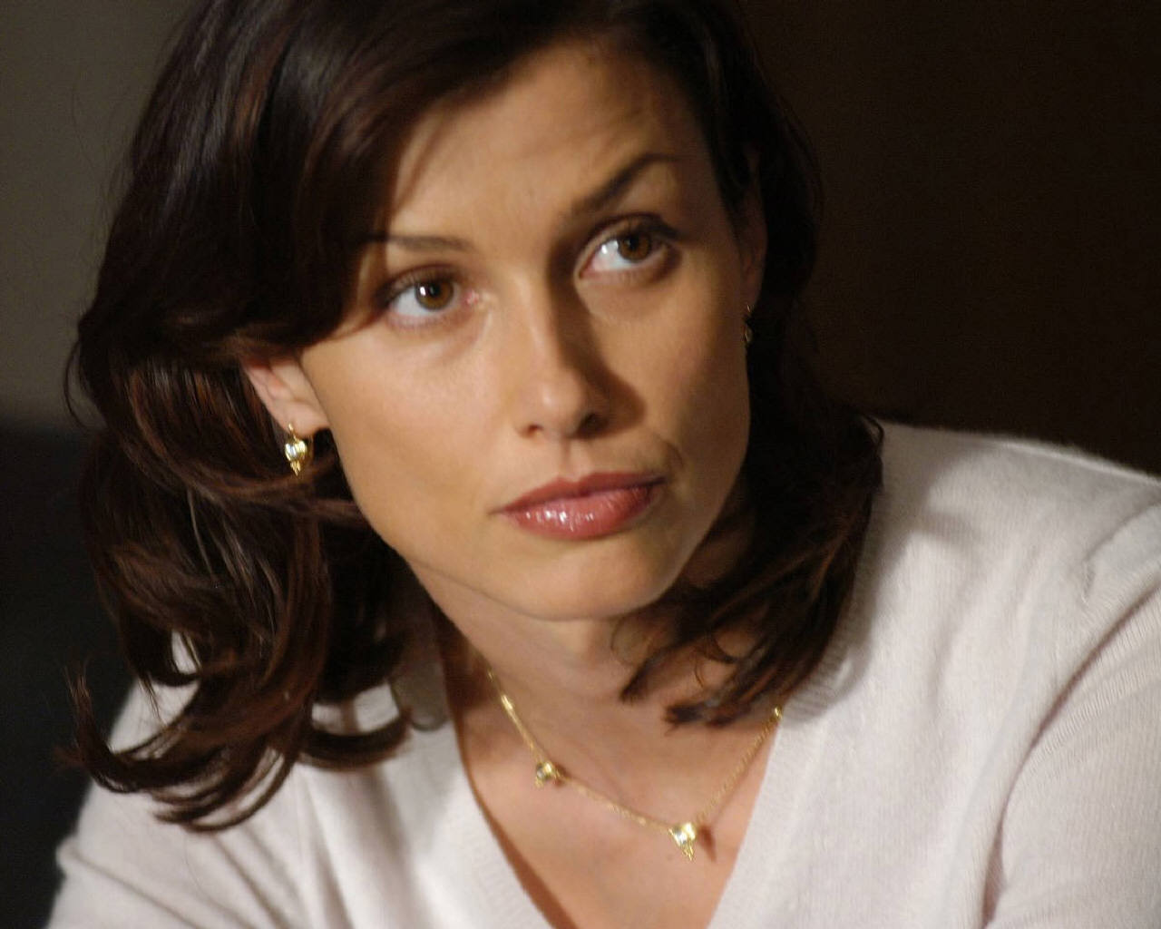 bridget-moynahan-wallpapers