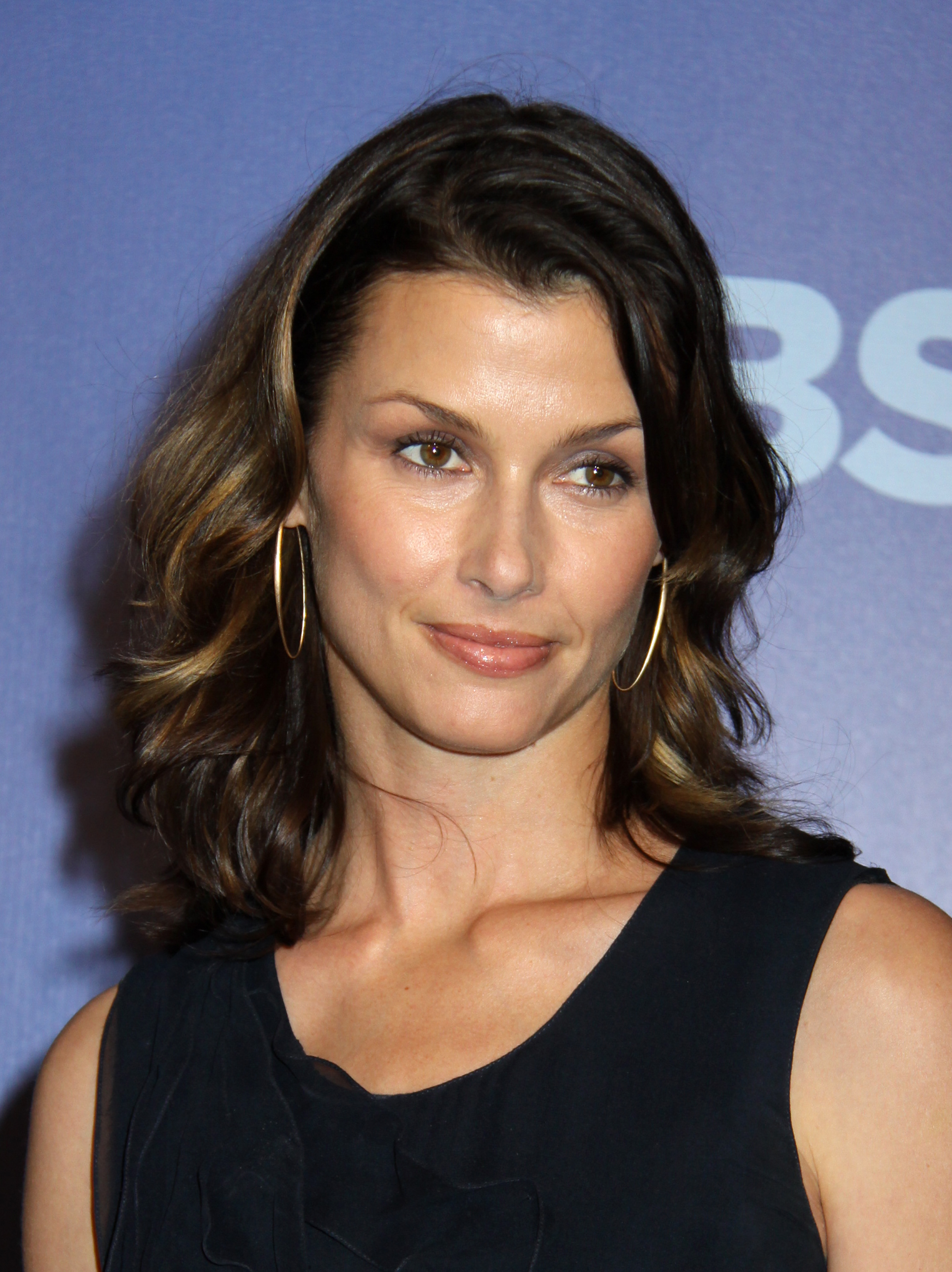 images-of-bridget-moynahan