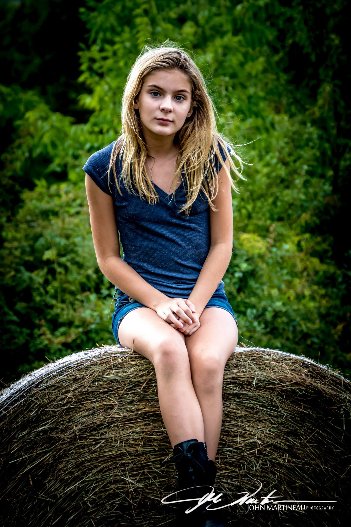 best-pictures-of-brighton-sharbino