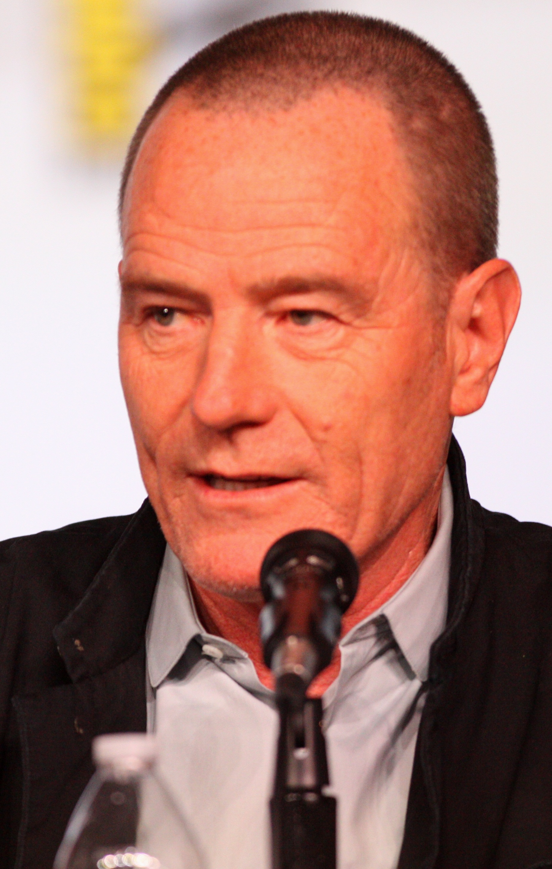 bryan-cranston-family