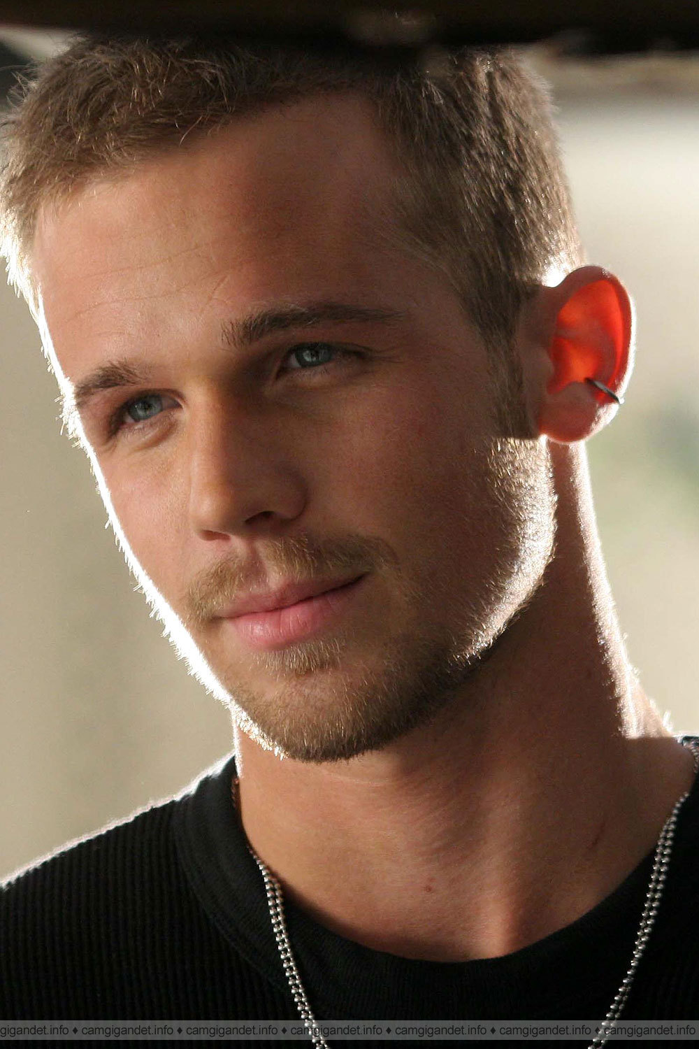 cam-gigandet-wallpapers