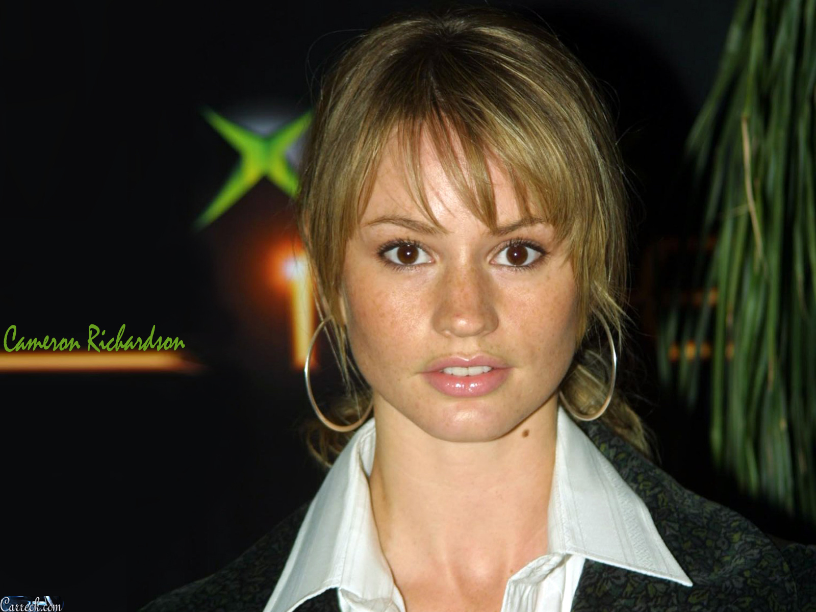 best-pictures-of-cameron-richardson