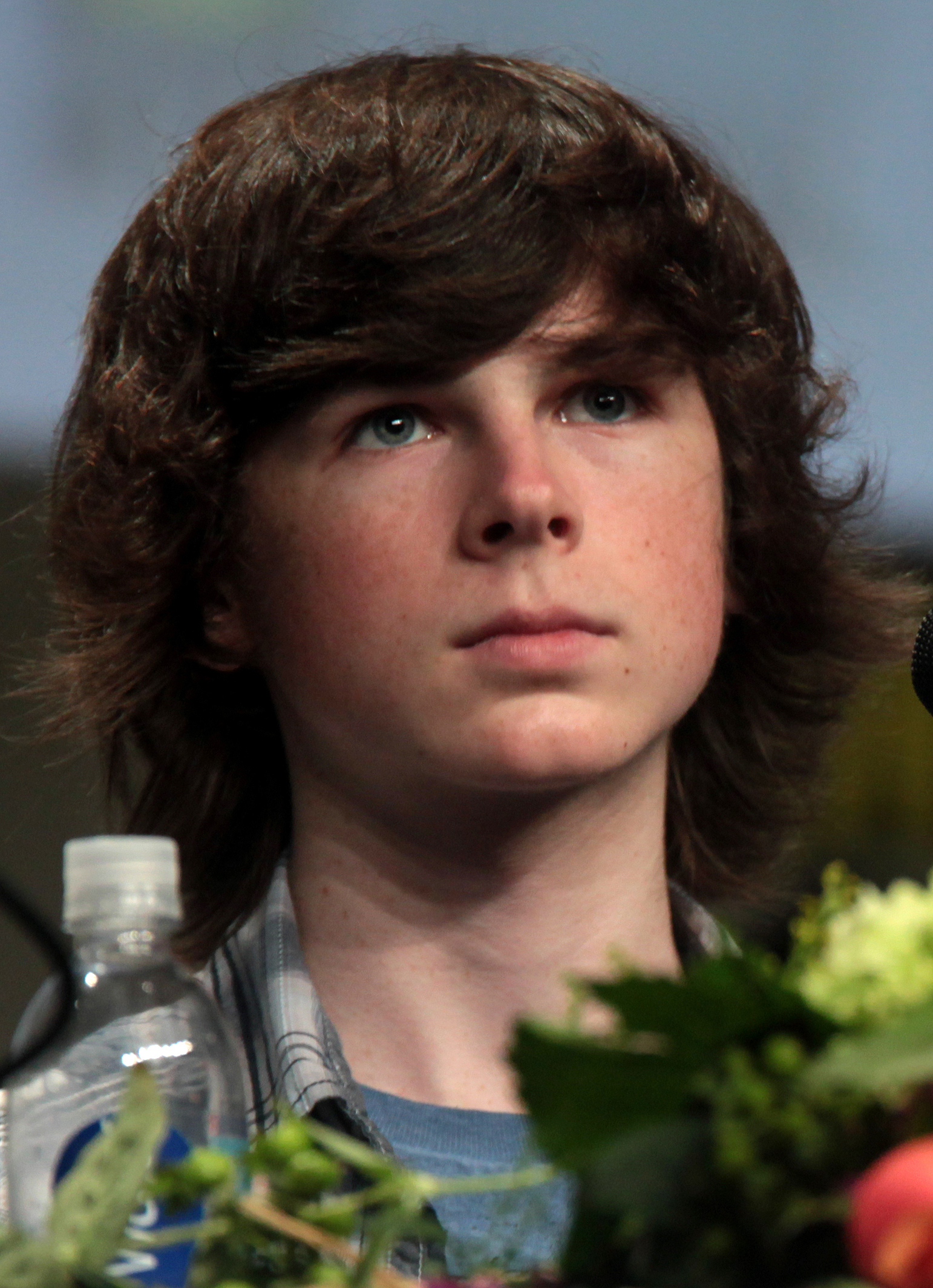 chandler-riggs-movies