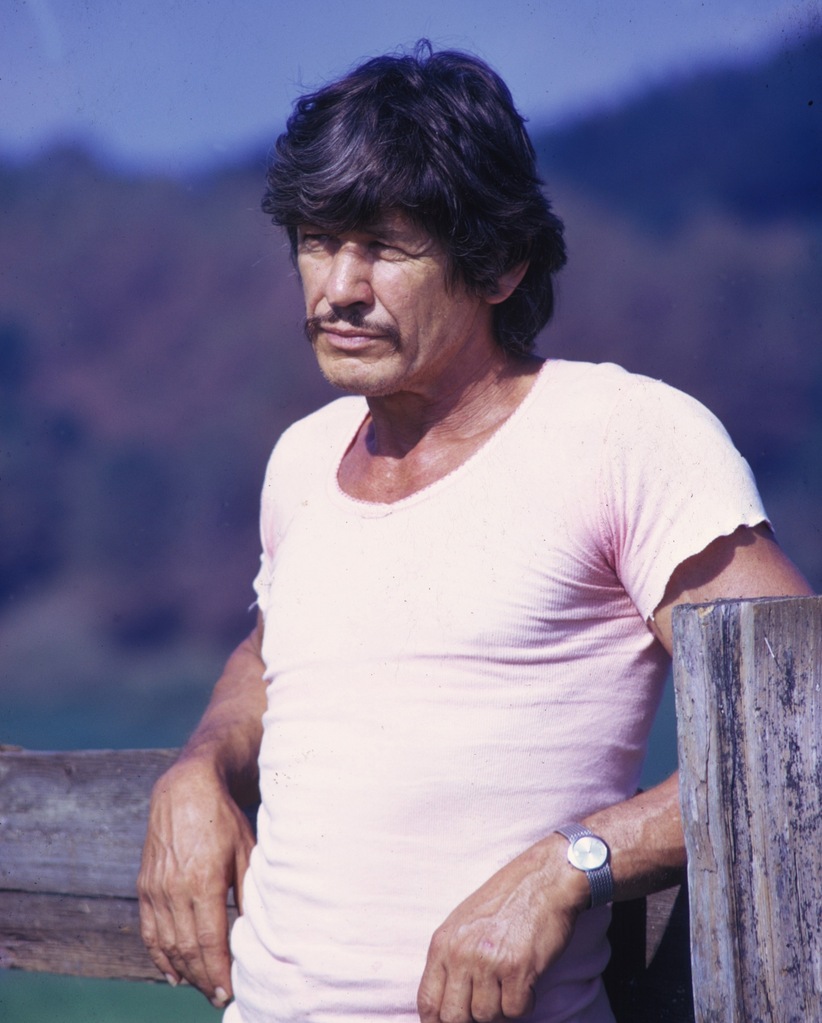 charles-bronson-news