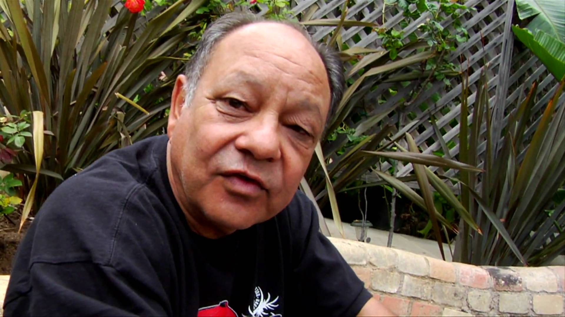 cheech-marin-2015