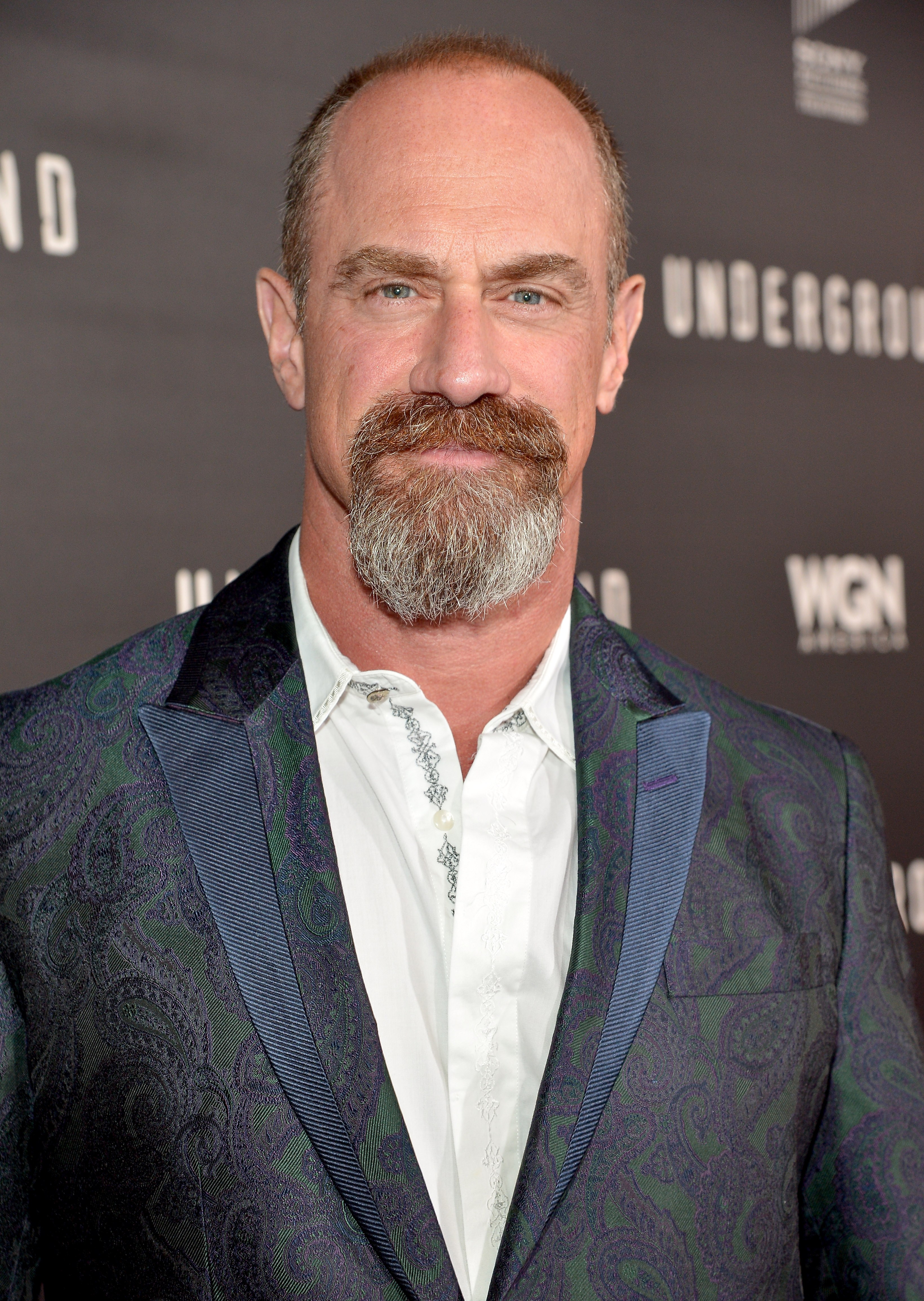 images-of-christopher-meloni