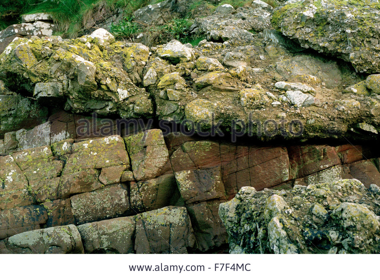 pictures-of-cliff-severn