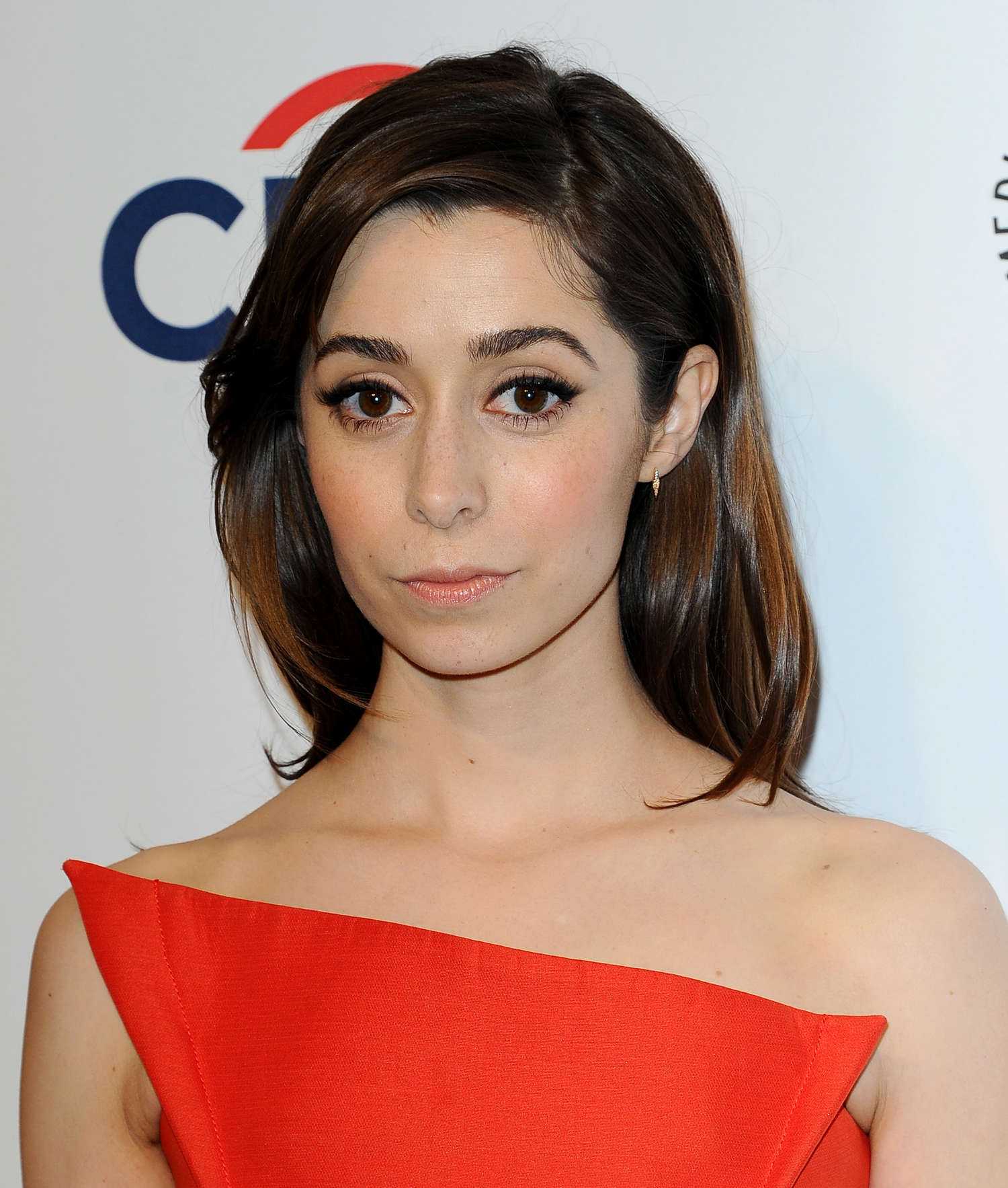 cristin-milioti-net-worth