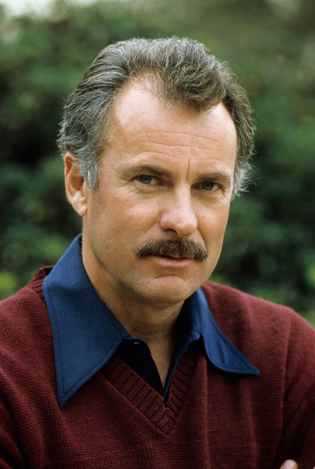 dabney-coleman-images