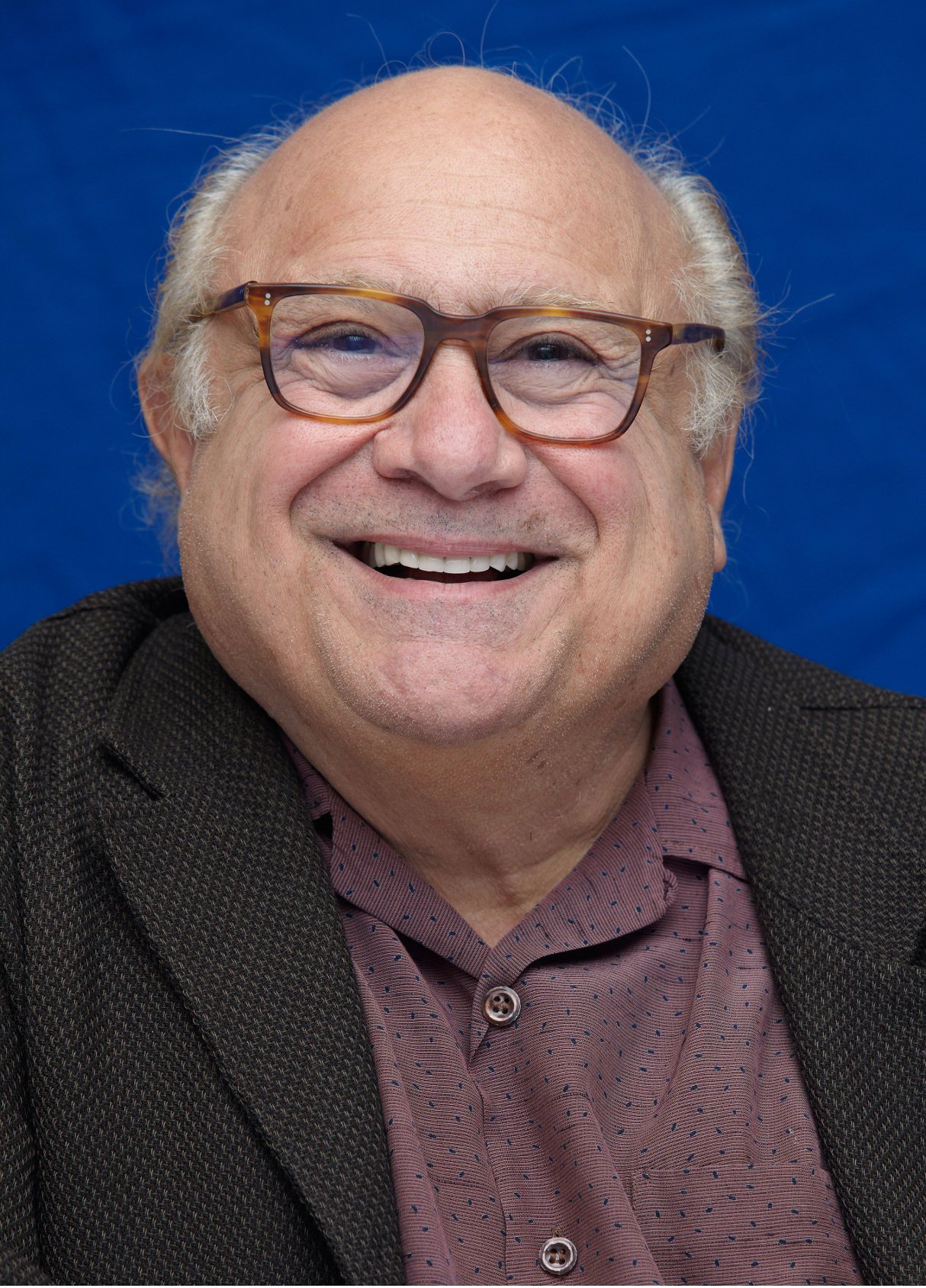 best-pictures-of-danny-devito