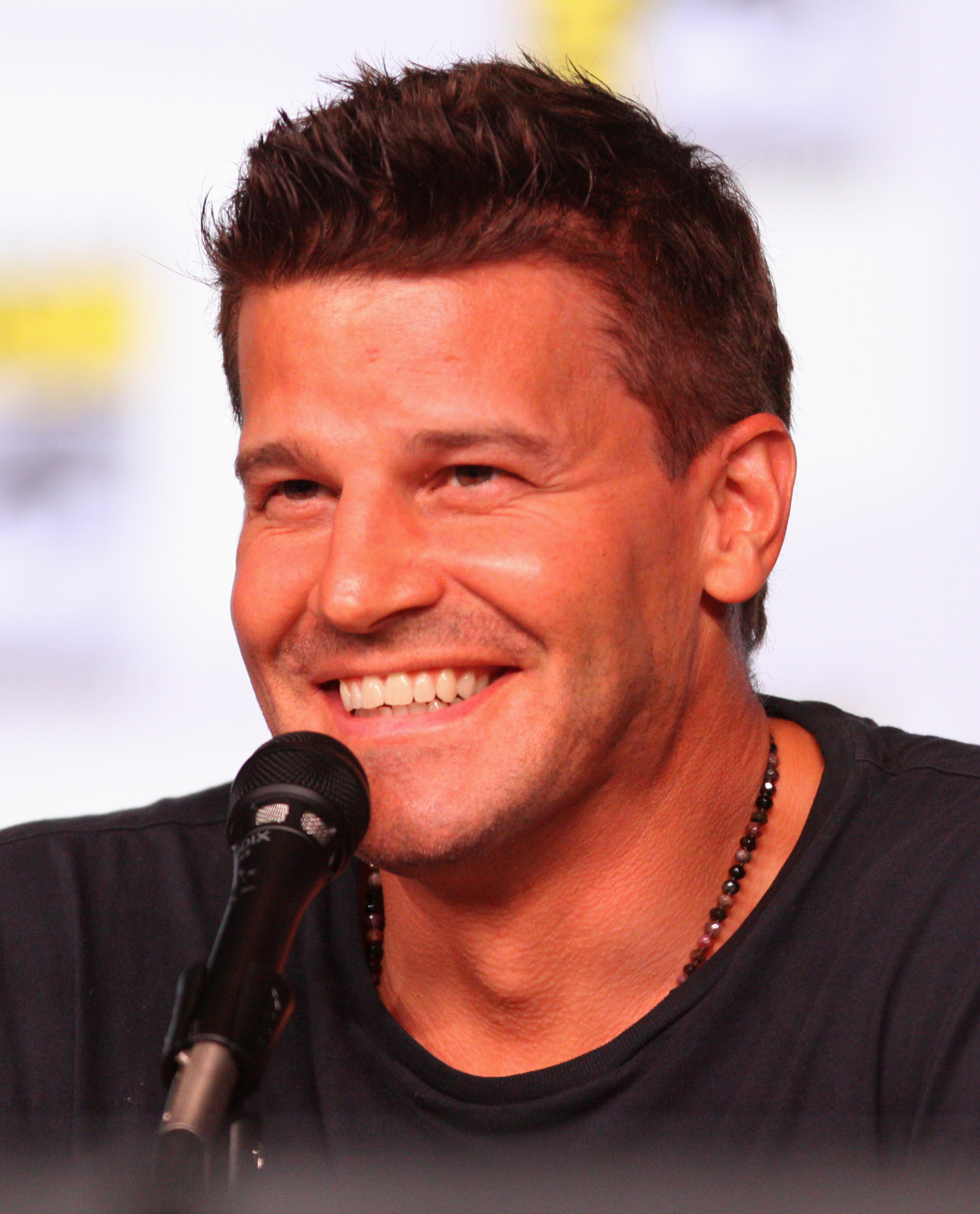 david-boreanaz-images