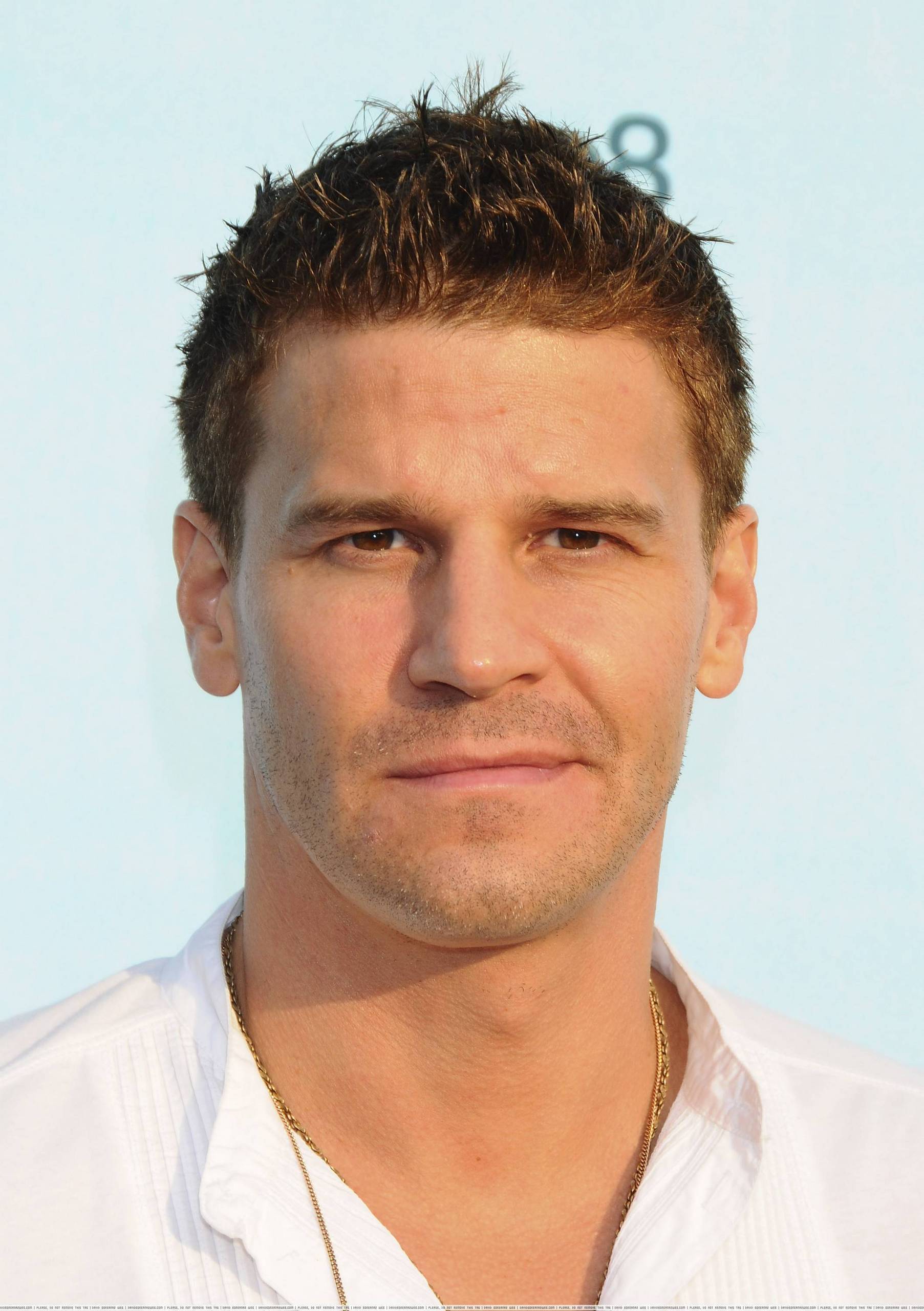 david-boreanaz-movies