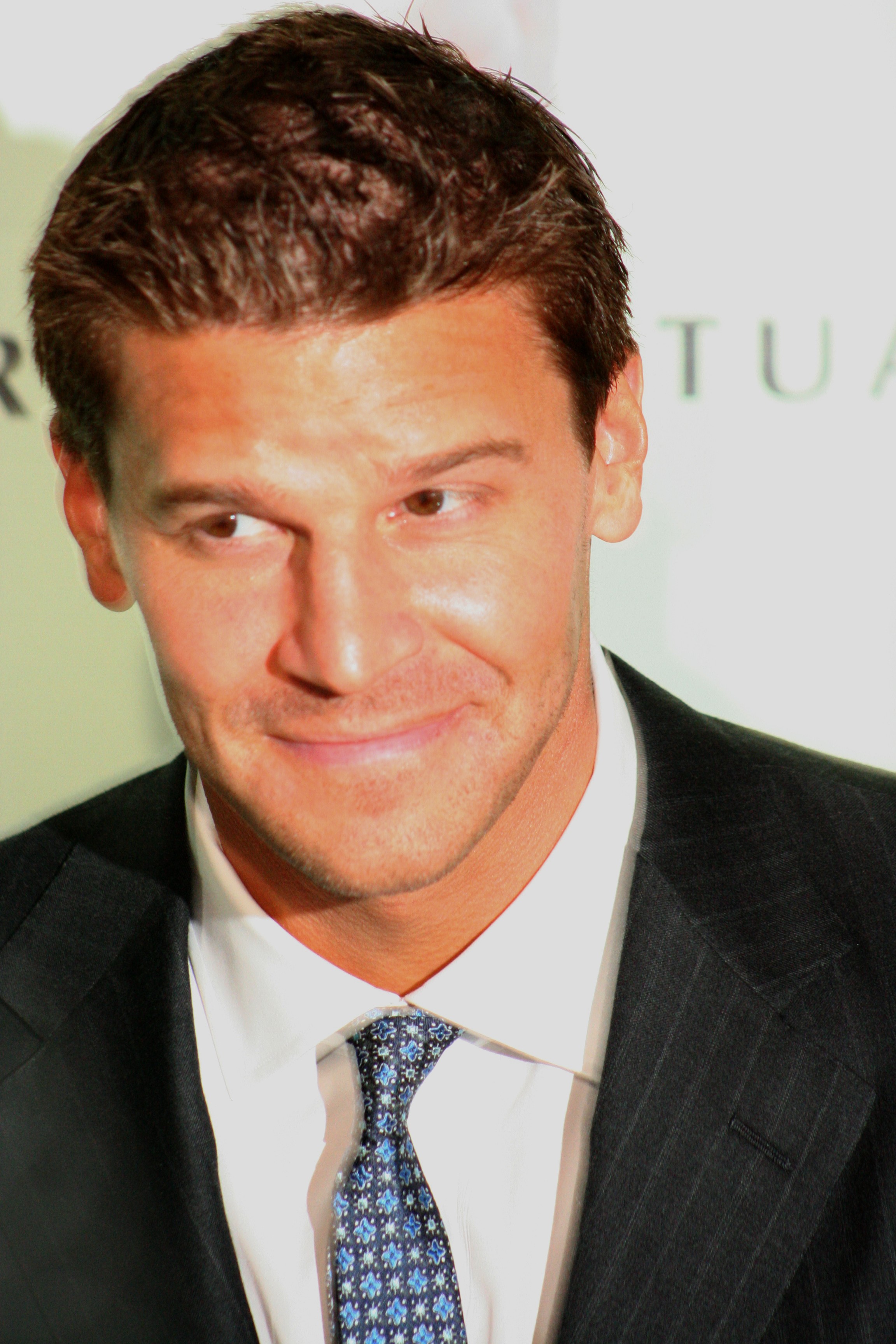 david-boreanaz-news