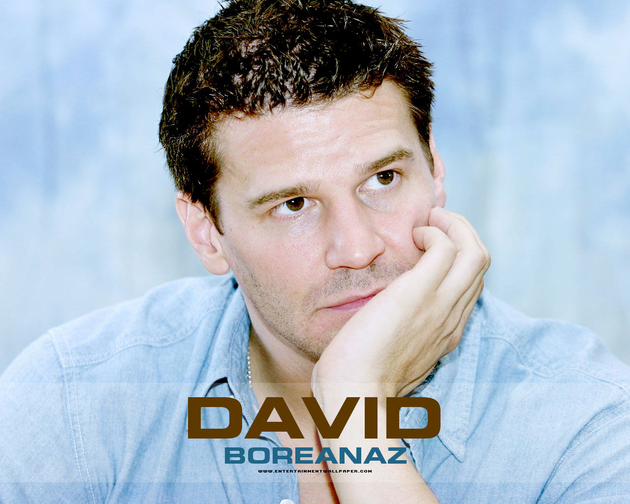 david-boreanaz-party