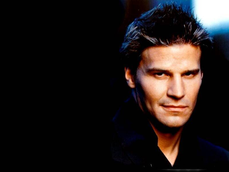 david-boreanaz-photos