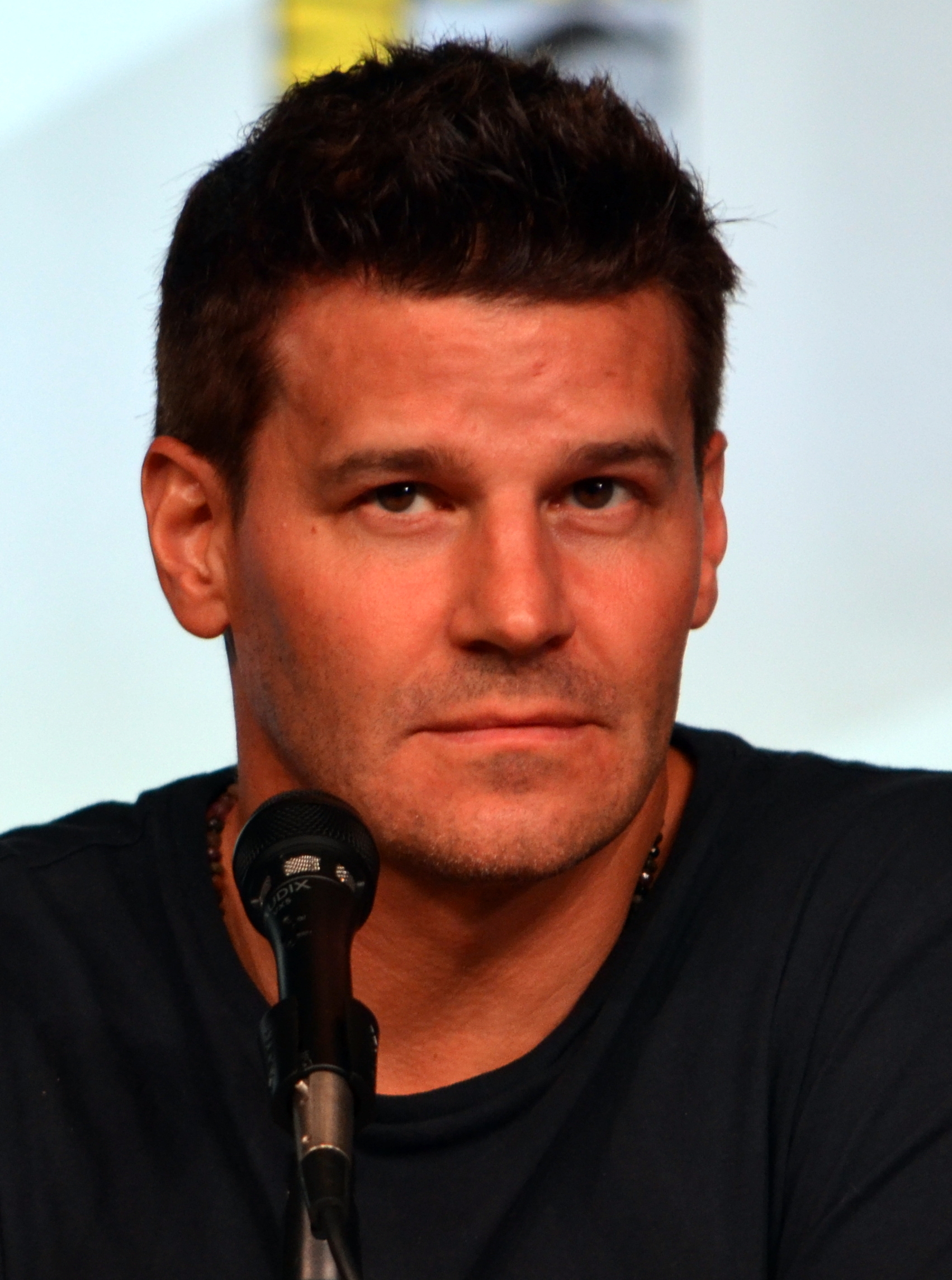 david-boreanaz-pictures